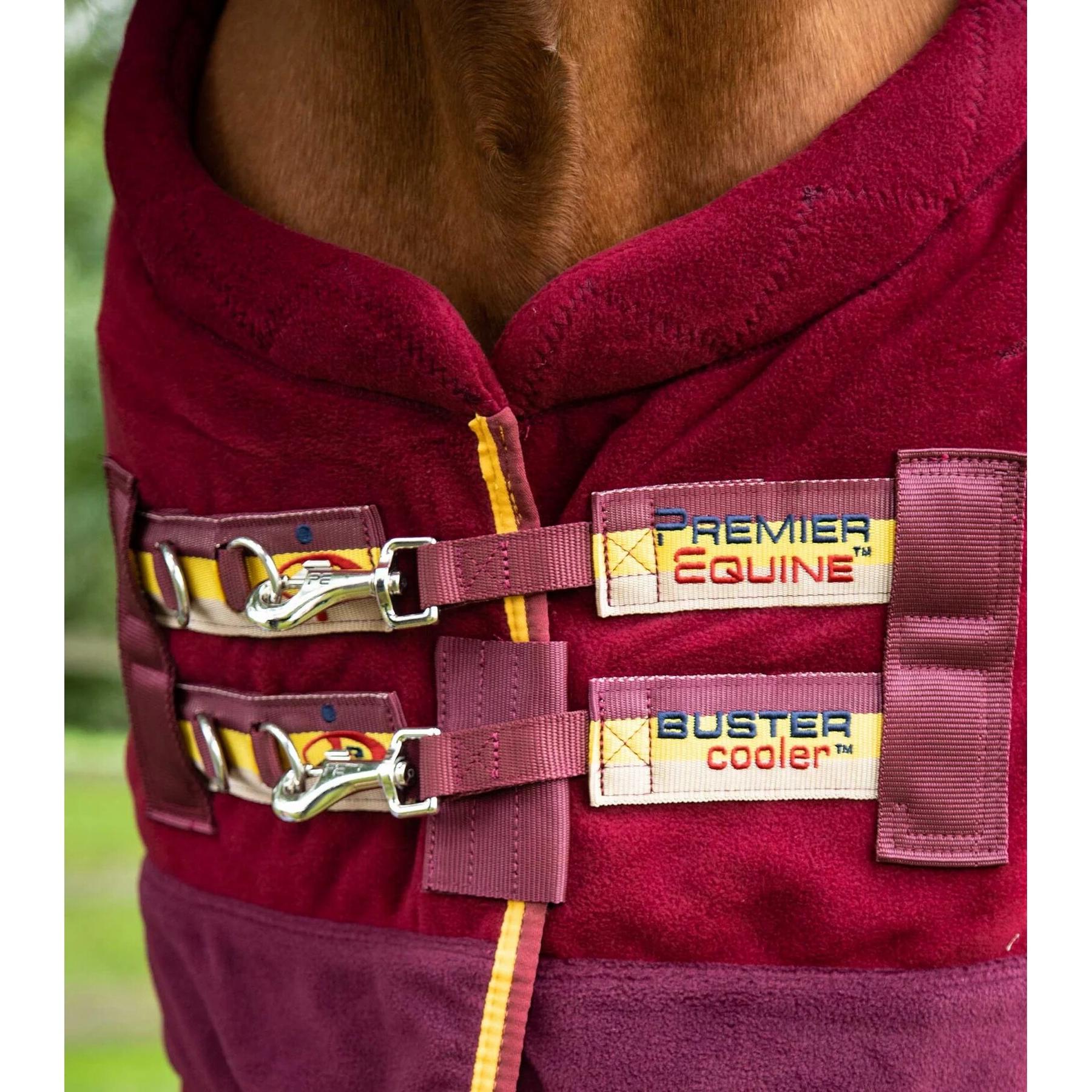 product/p/r/premier-equine_209050brg_3.jpg