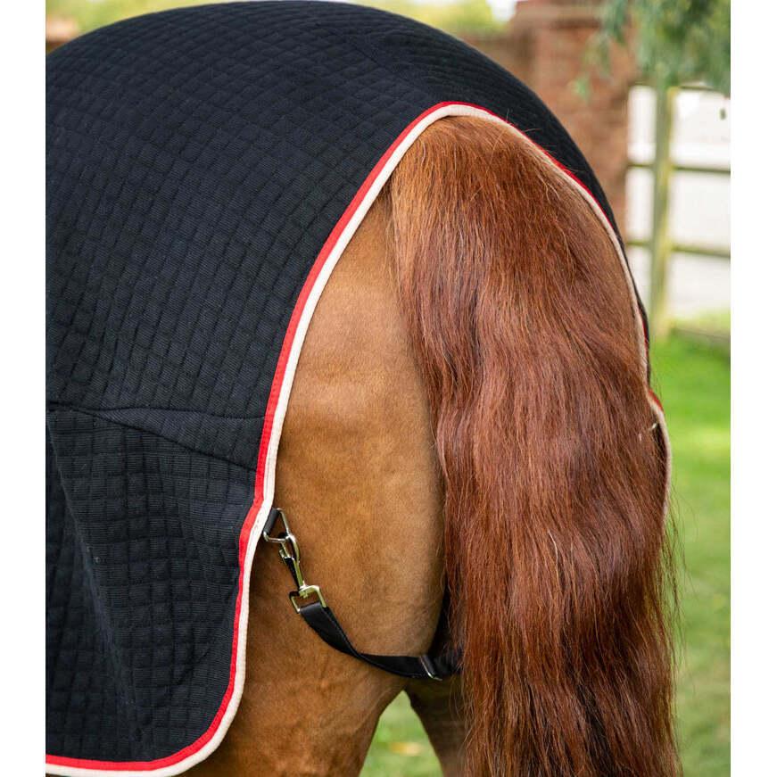 product/p/r/premier-equine_209450blk_black_5.jpg