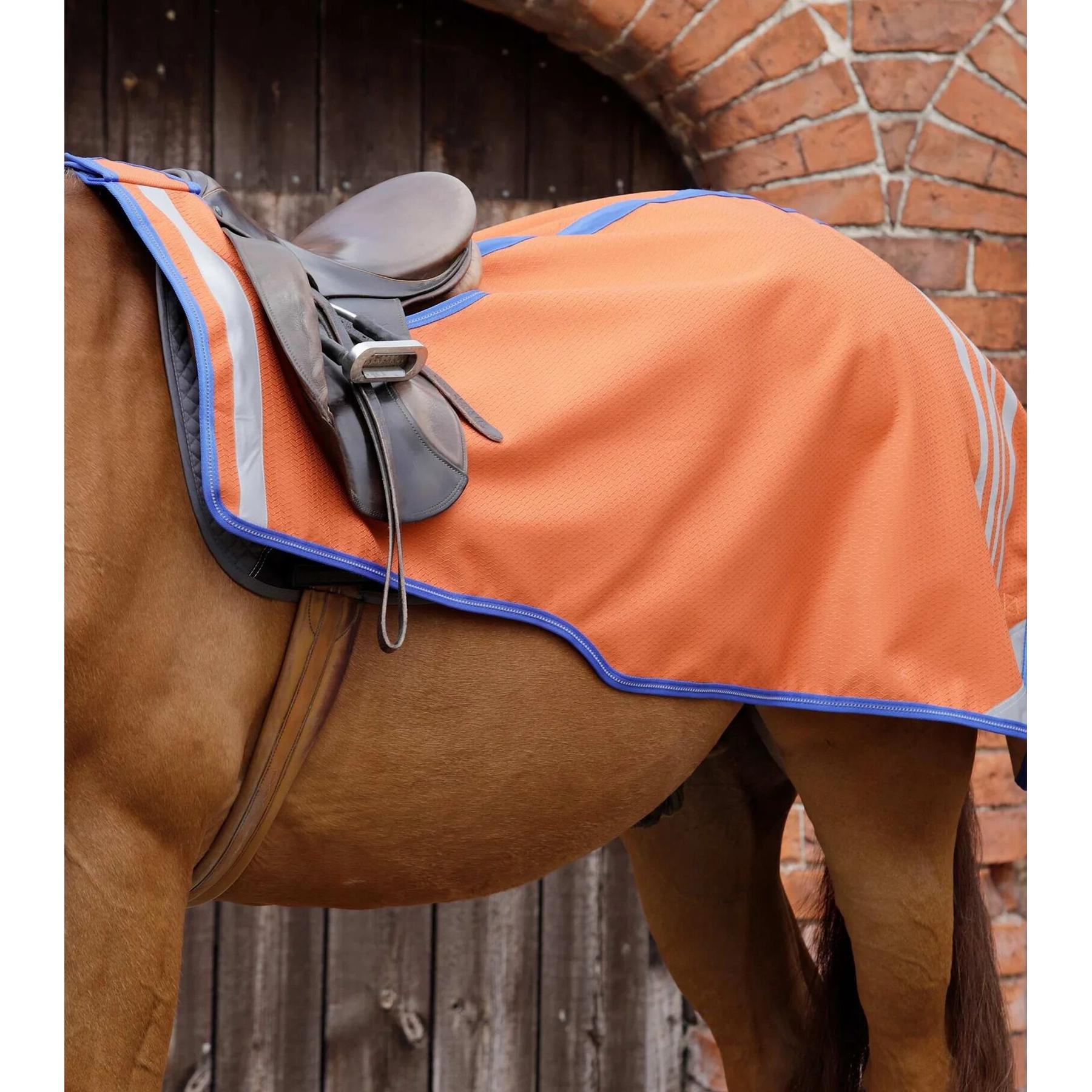 product/p/r/premier-equine_2153mbo_1.jpg