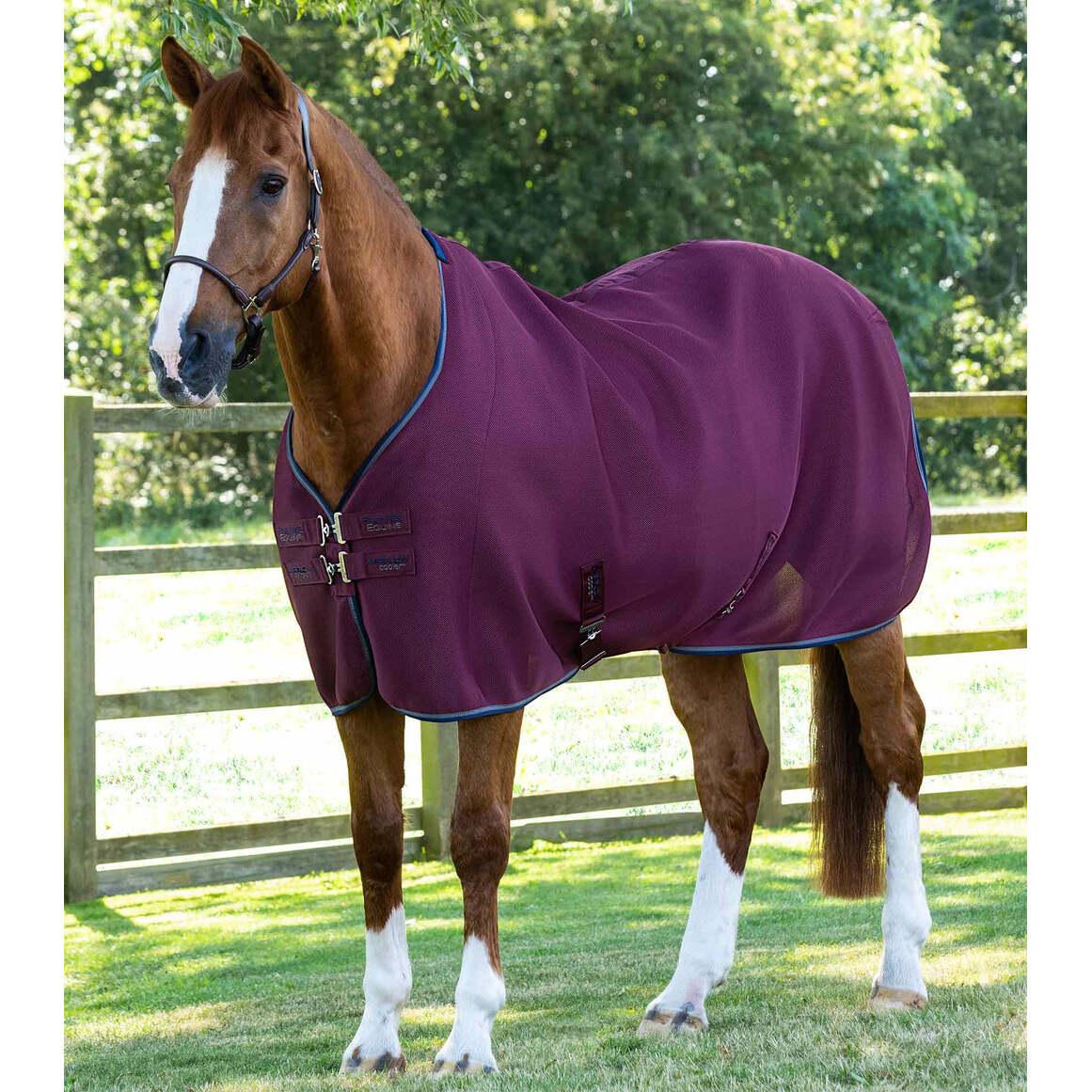 product/p/r/premier-equine_218456brg_burgundy_1.jpg