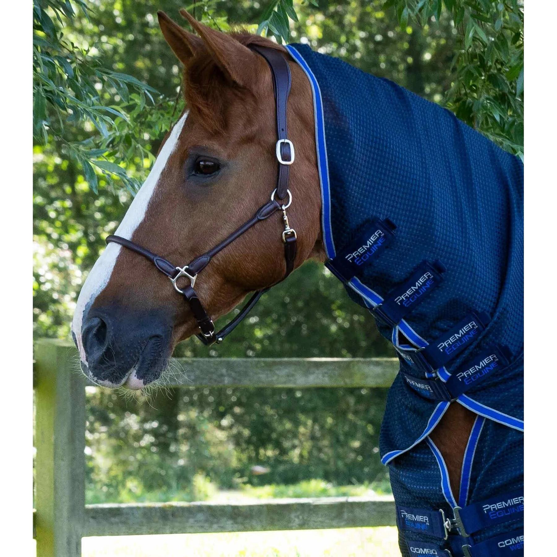 product/p/r/premier-equine_2223-56n_4.jpg