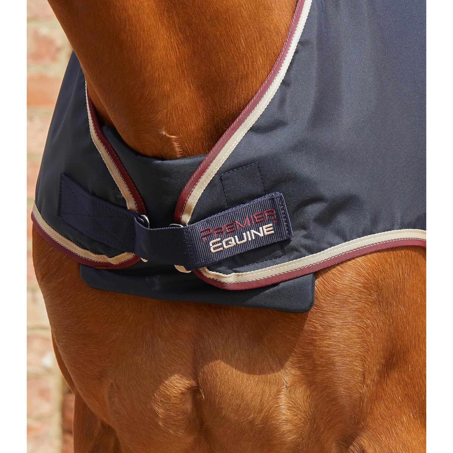 product/p/r/premier-equine_222850n_1.jpg