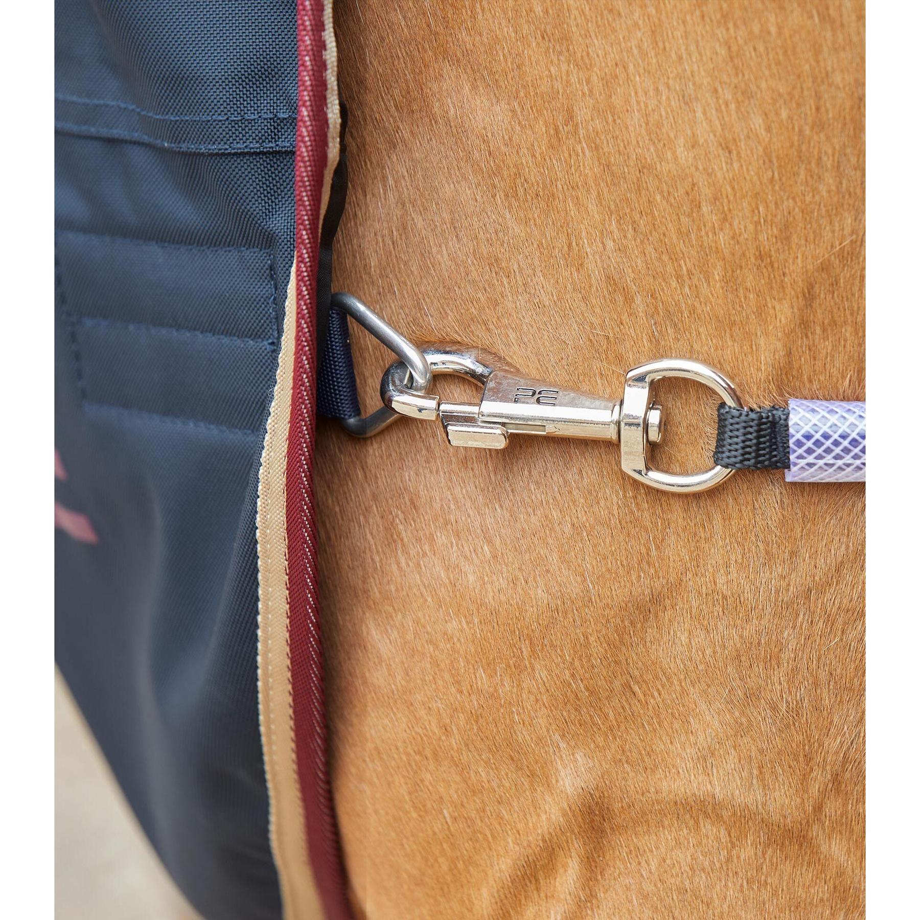product/p/r/premier-equine_222850n_5.jpg