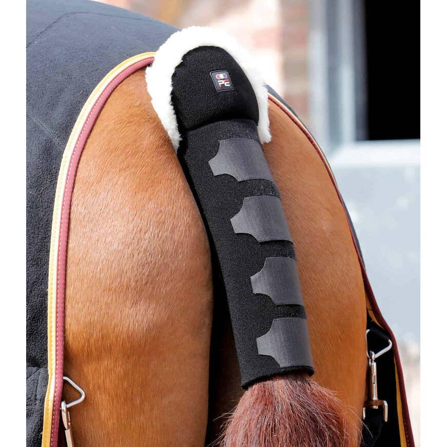product/p/r/premier-equine_6004blk_black_1.jpg