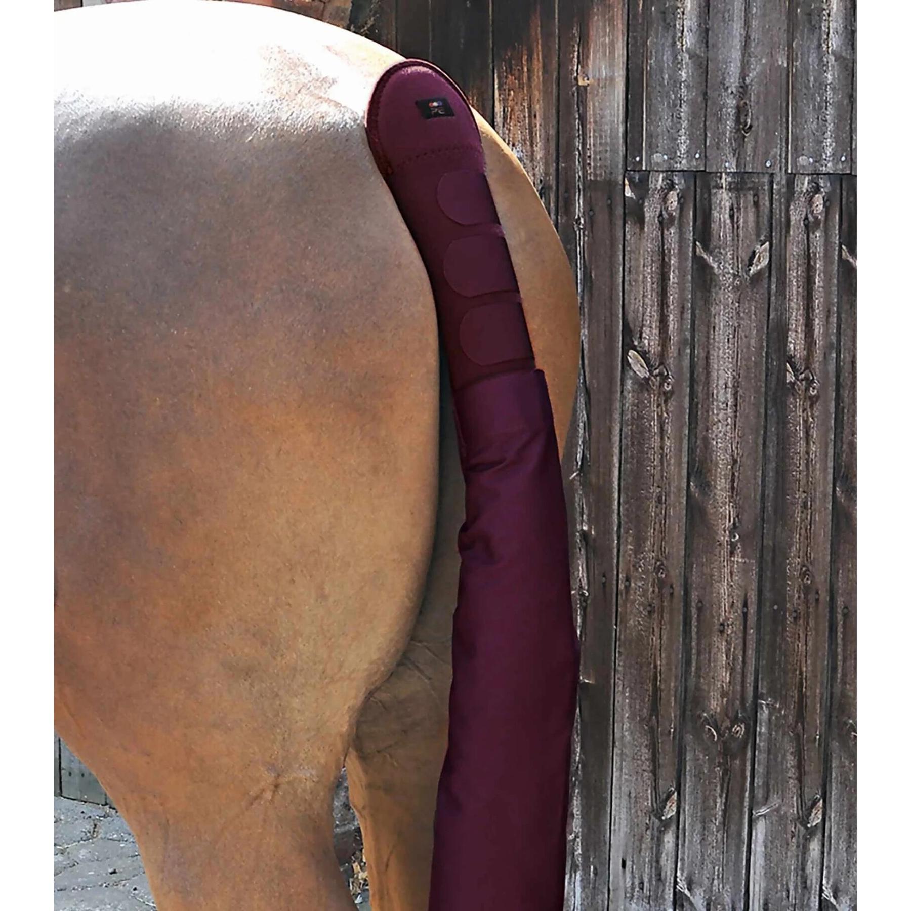 product/p/r/premier-equine_6010brg_1.jpg