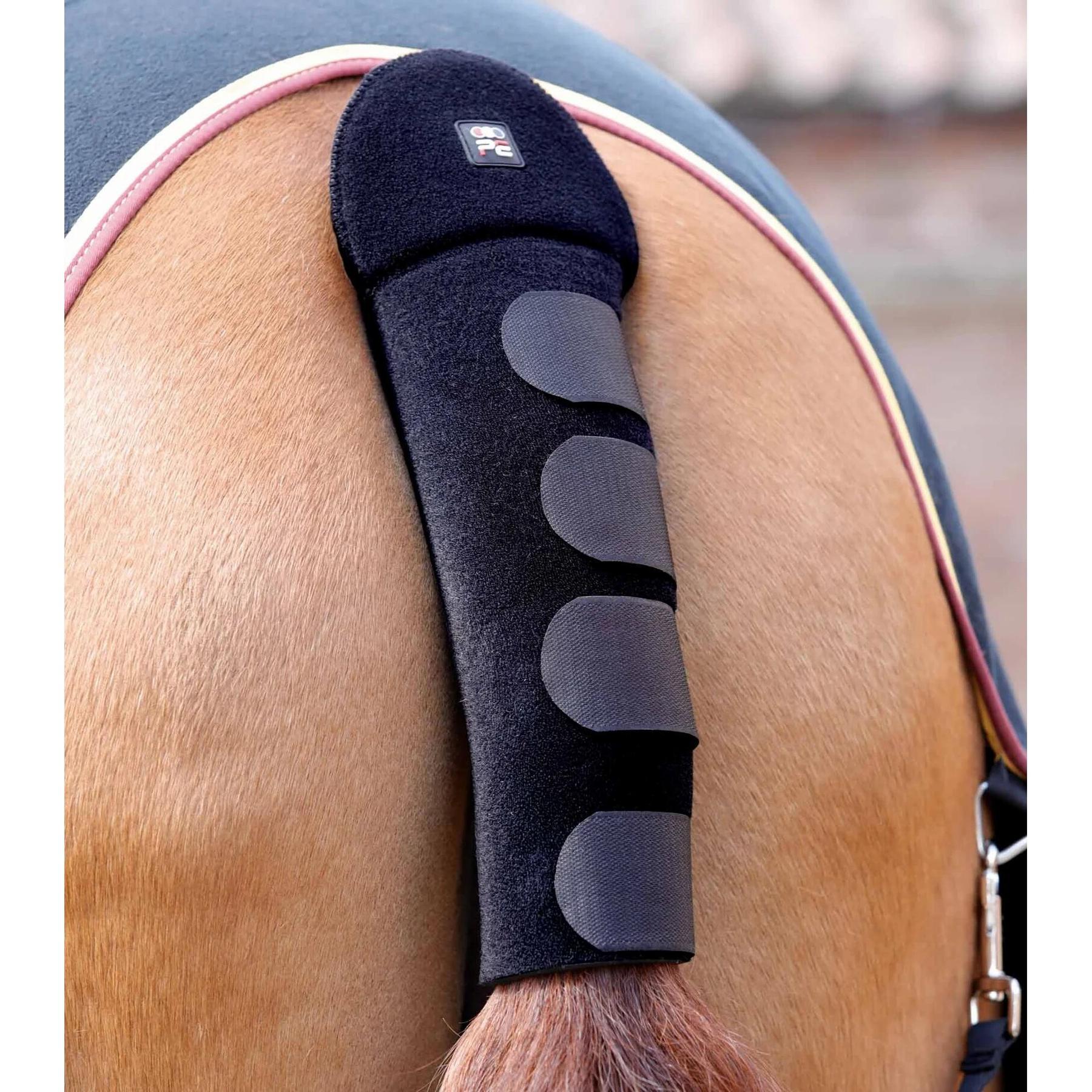 product/p/r/premier-equine_6135blk_1.jpg