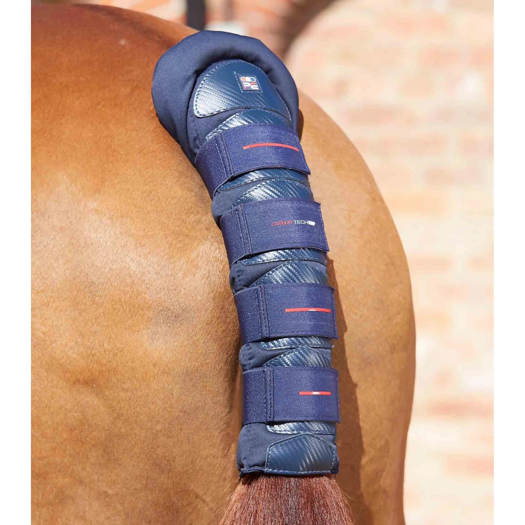 product/p/r/premier-equine_6136n_1.jpg