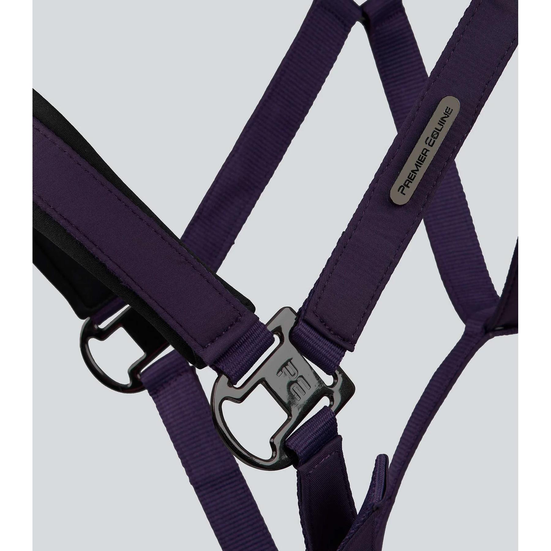 product/p/r/premier-equine_6151cgra_grape_4.jpg