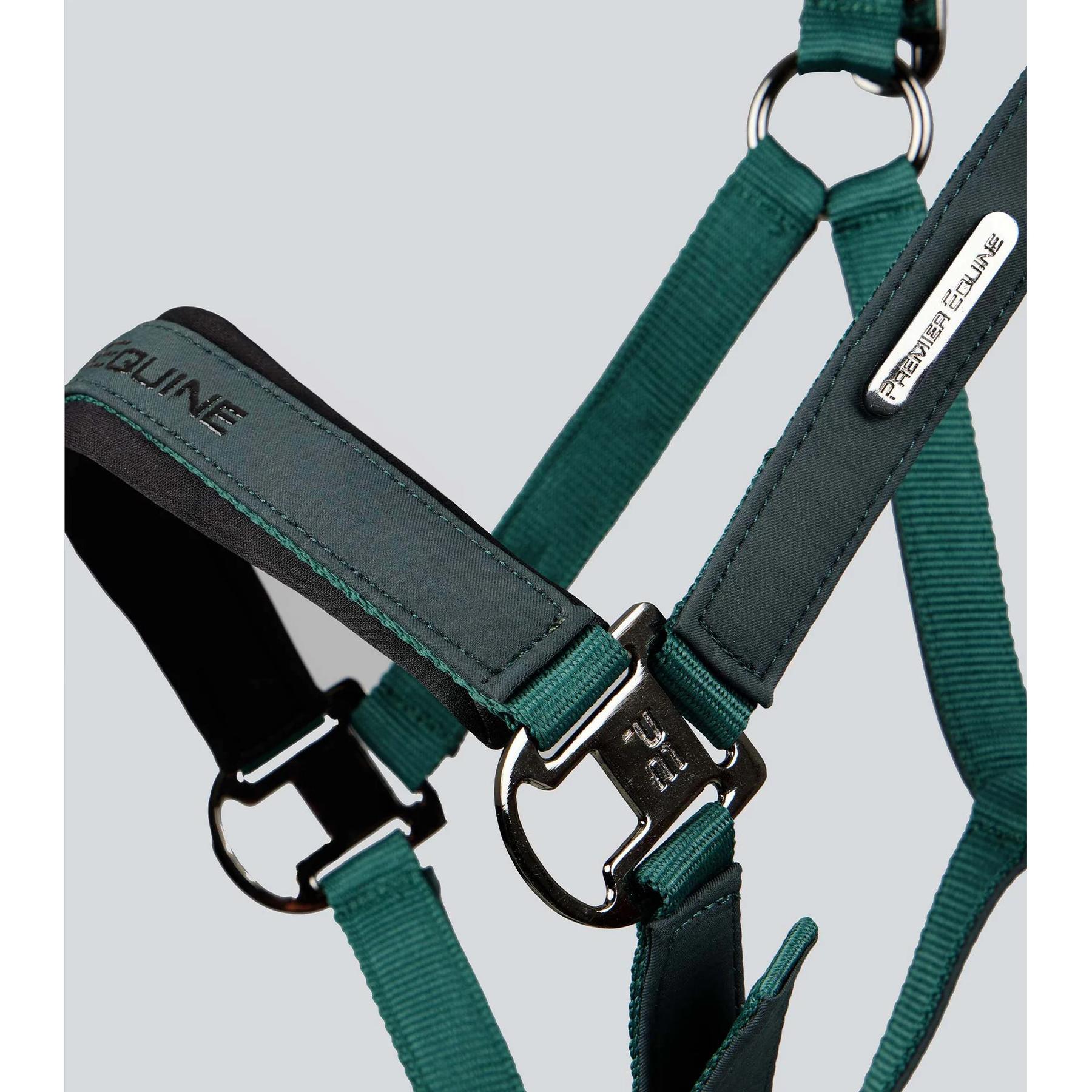 product/p/r/premier-equine_6151cgrn_green_4.jpg