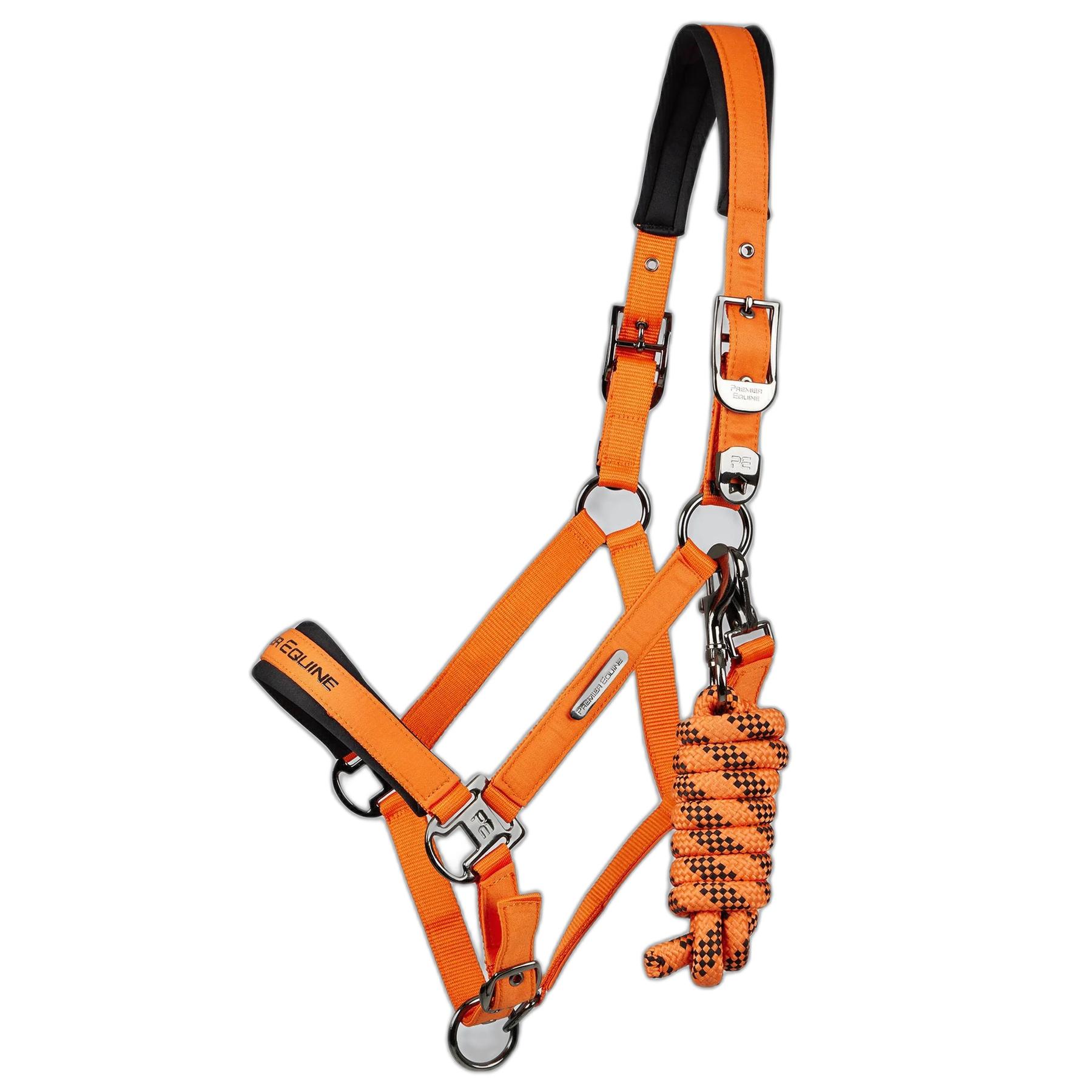 product/p/r/premier-equine_6151corg_orange_1.jpg