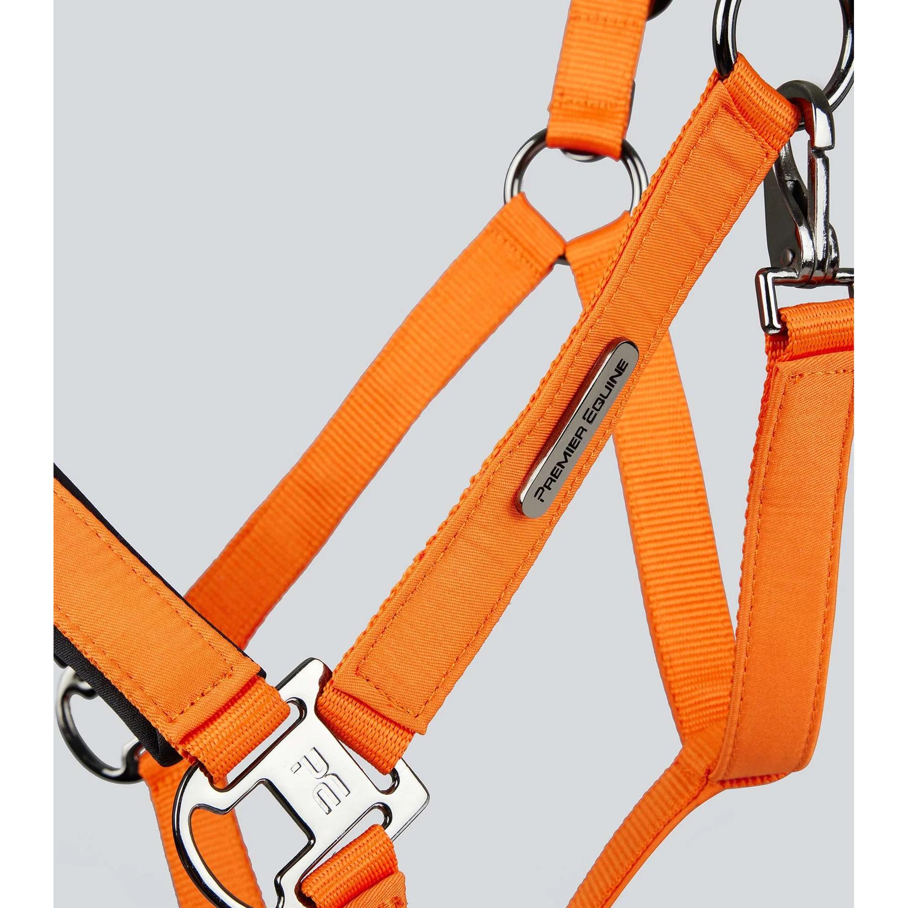 product/p/r/premier-equine_6151corg_orange_3.jpg