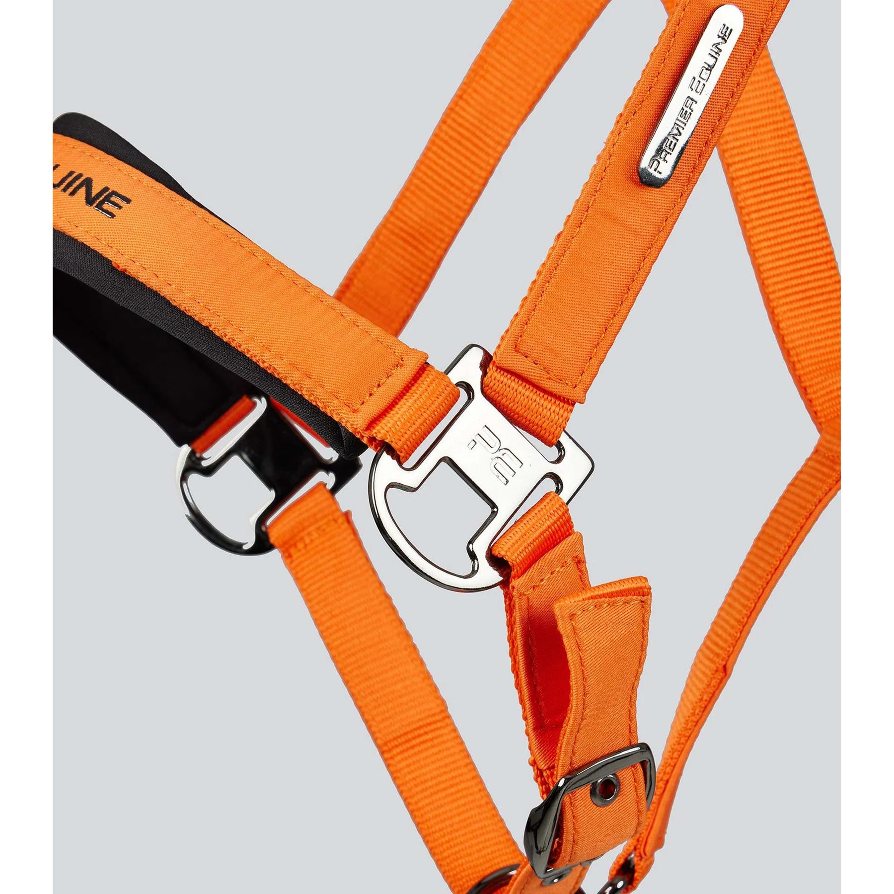 product/p/r/premier-equine_6151corg_orange_4.jpg