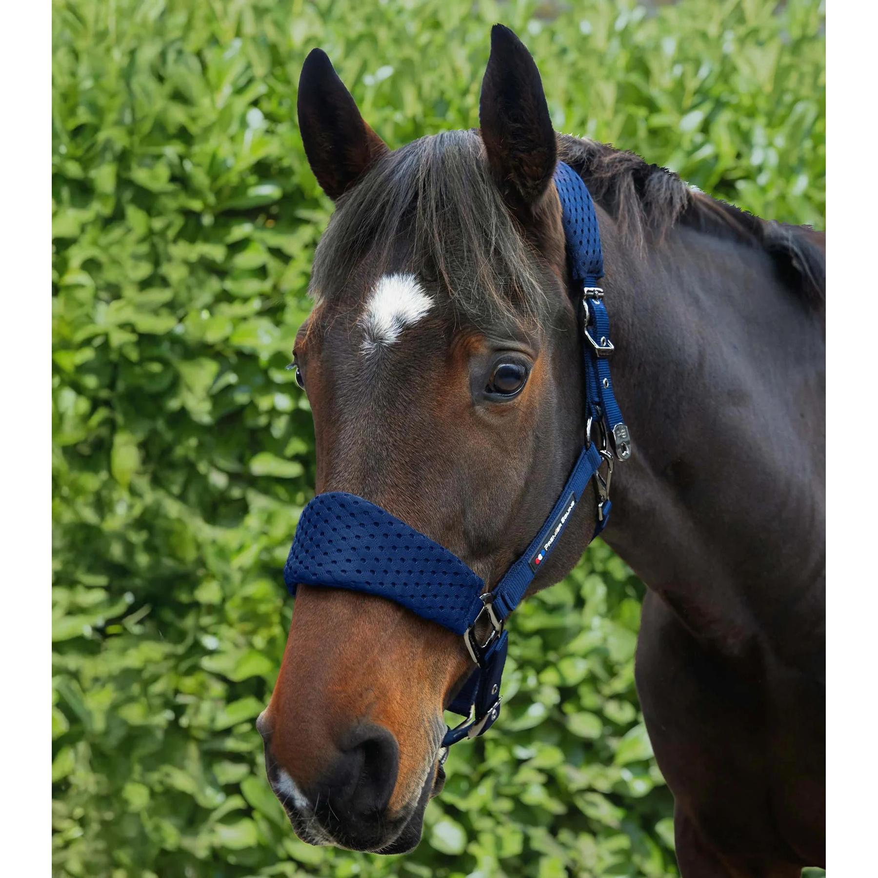 product/p/r/premier-equine_6152cnvy_navy_5.jpg