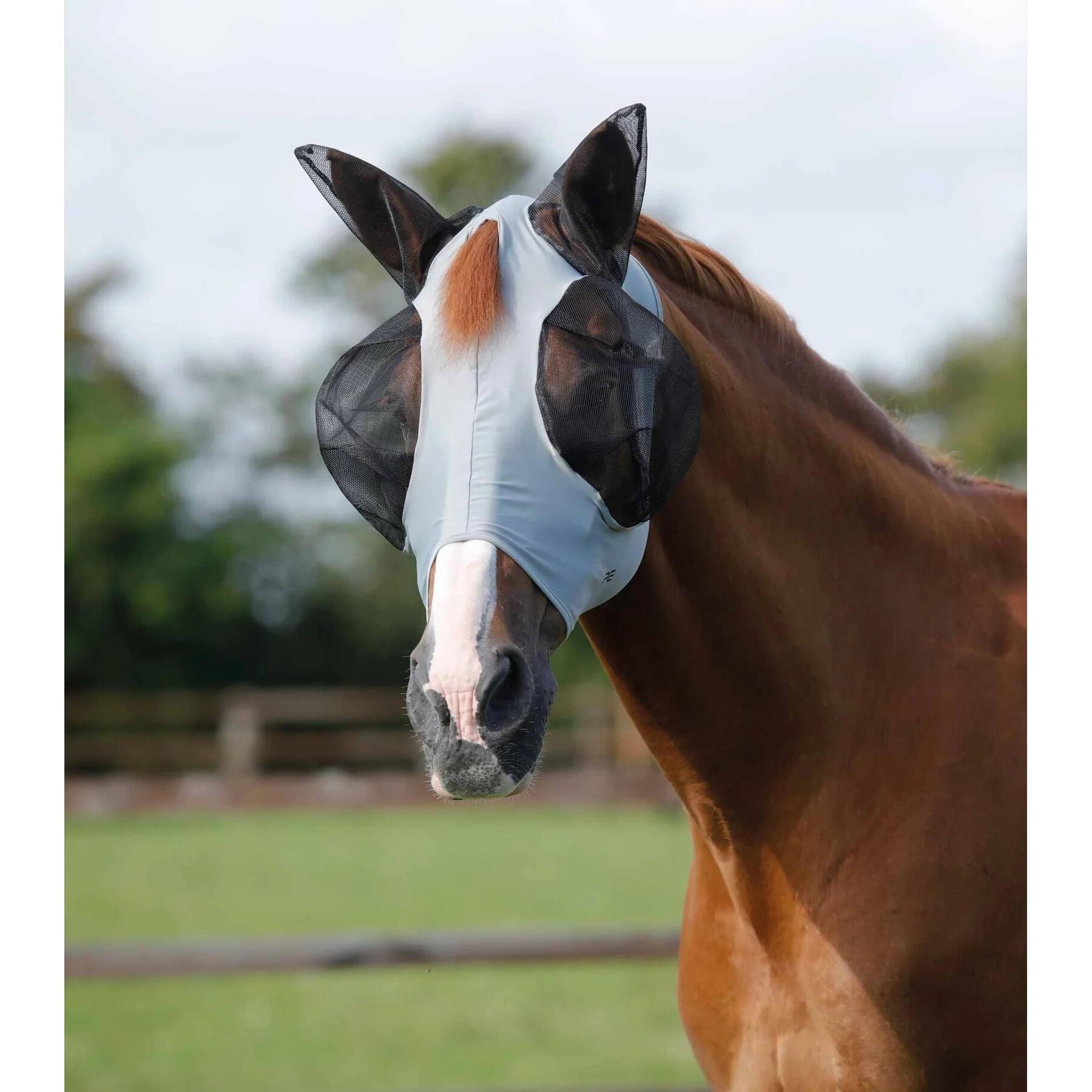 product/p/r/premier-equine_6300sg_1.jpg