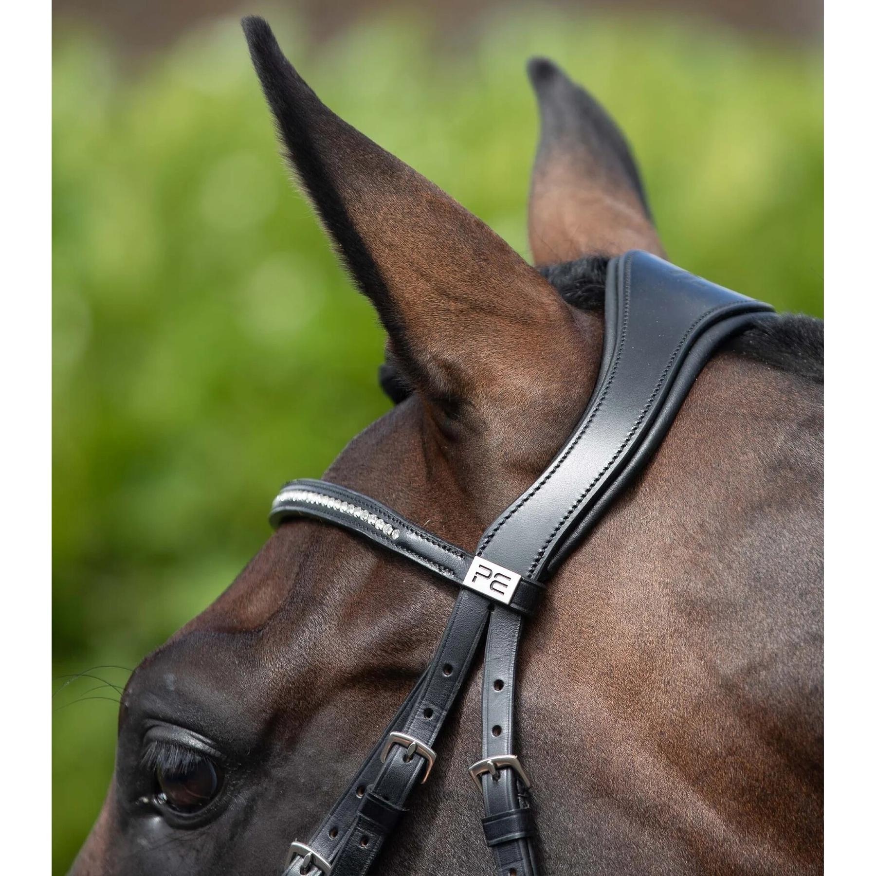 product/p/r/premier-equine_8004pblk_4.jpg