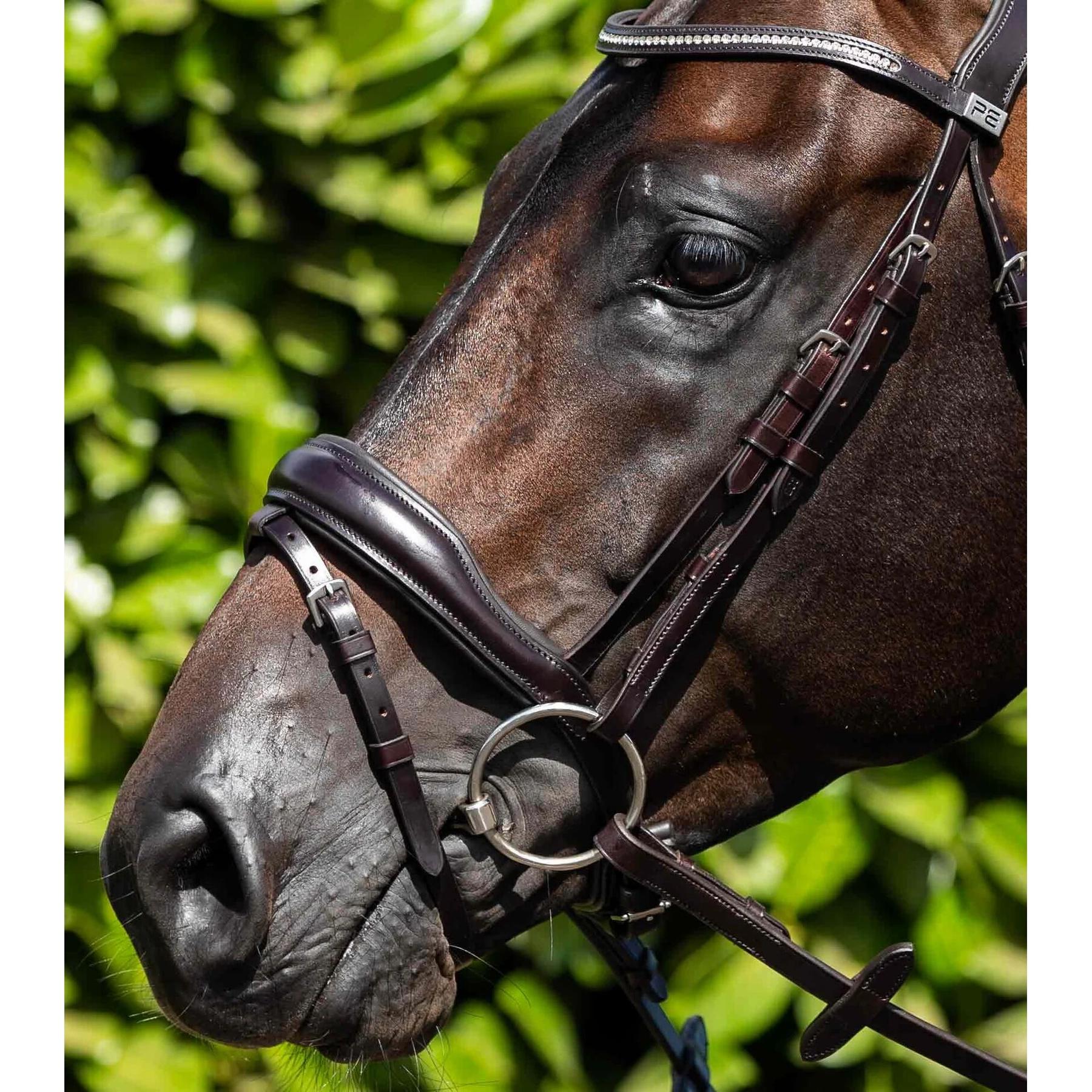 product/p/r/premier-equine_8007pbrw_1.jpg