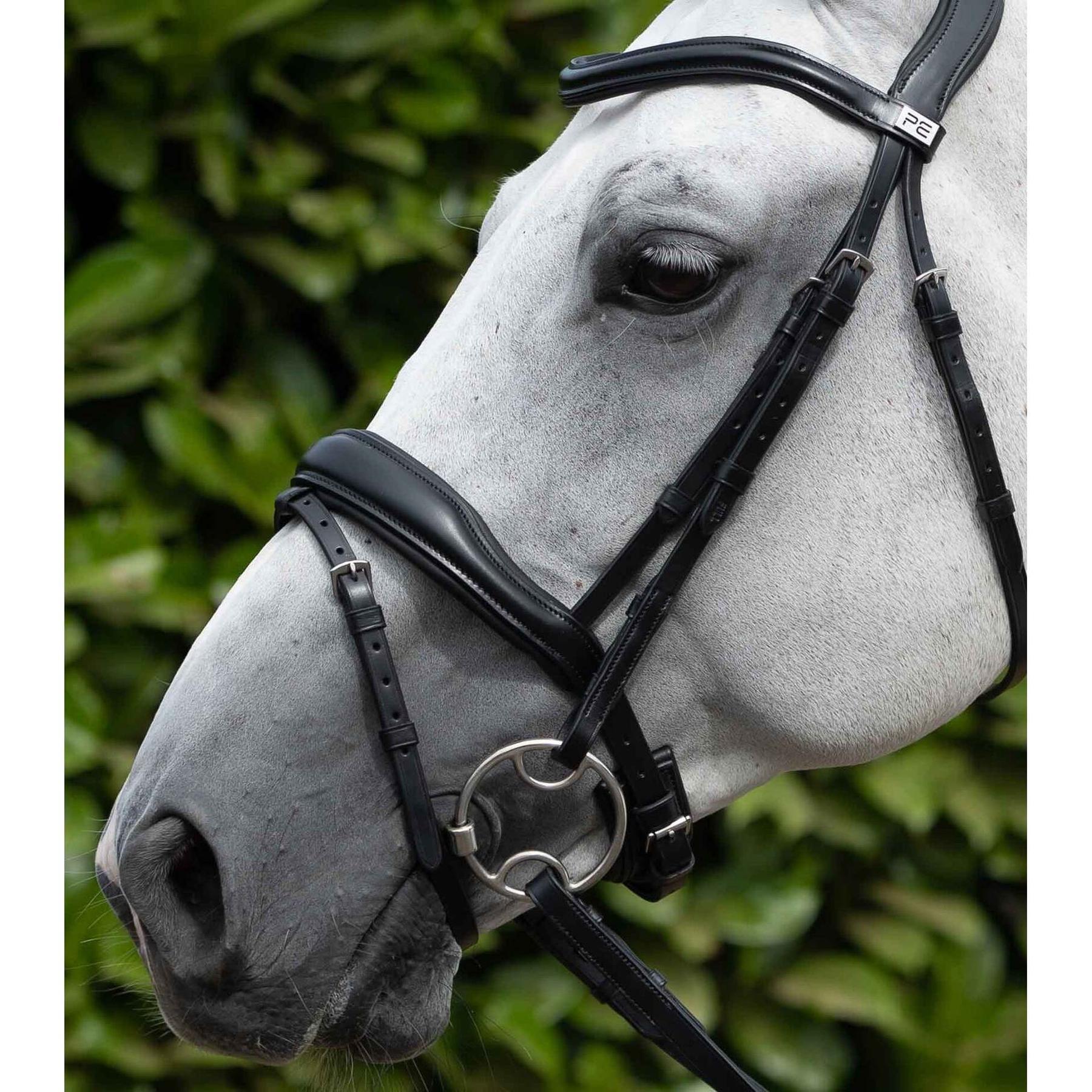product/p/r/premier-equine_8007xfblk_black_6.jpg