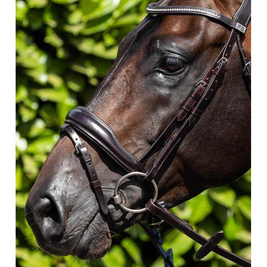 product/p/r/premier-equine_8007xfbrw_brown_6.jpg