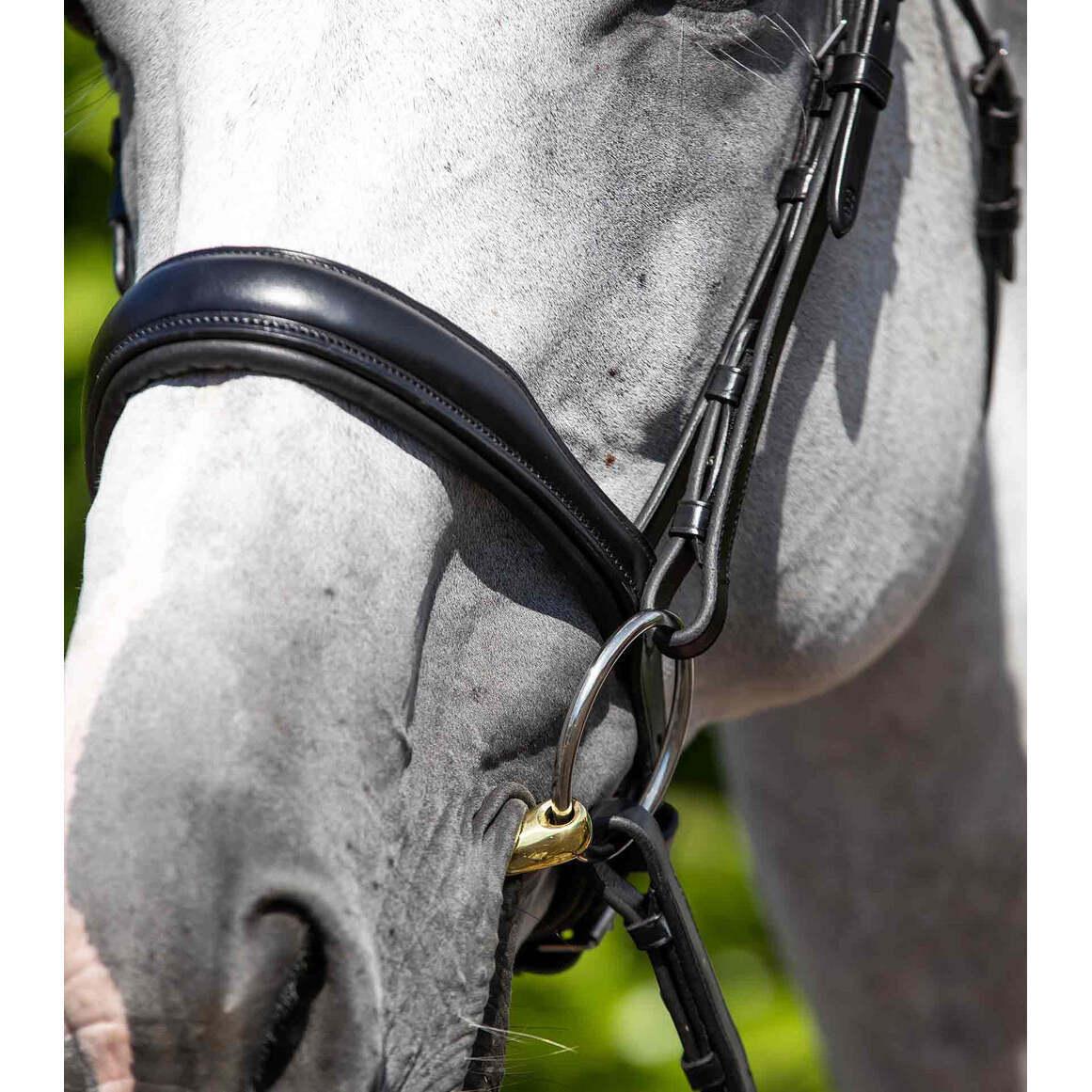 product/p/r/premier-equine_8010cblk_black_4.jpg