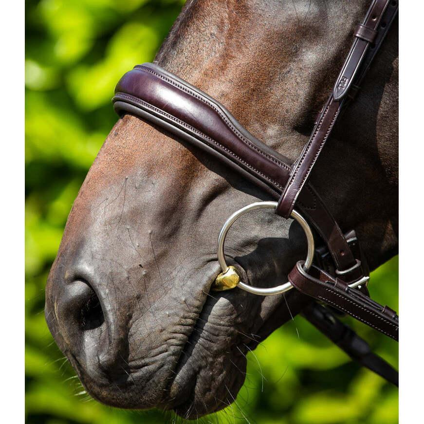 product/p/r/premier-equine_8010cbrw_brown_5.jpg