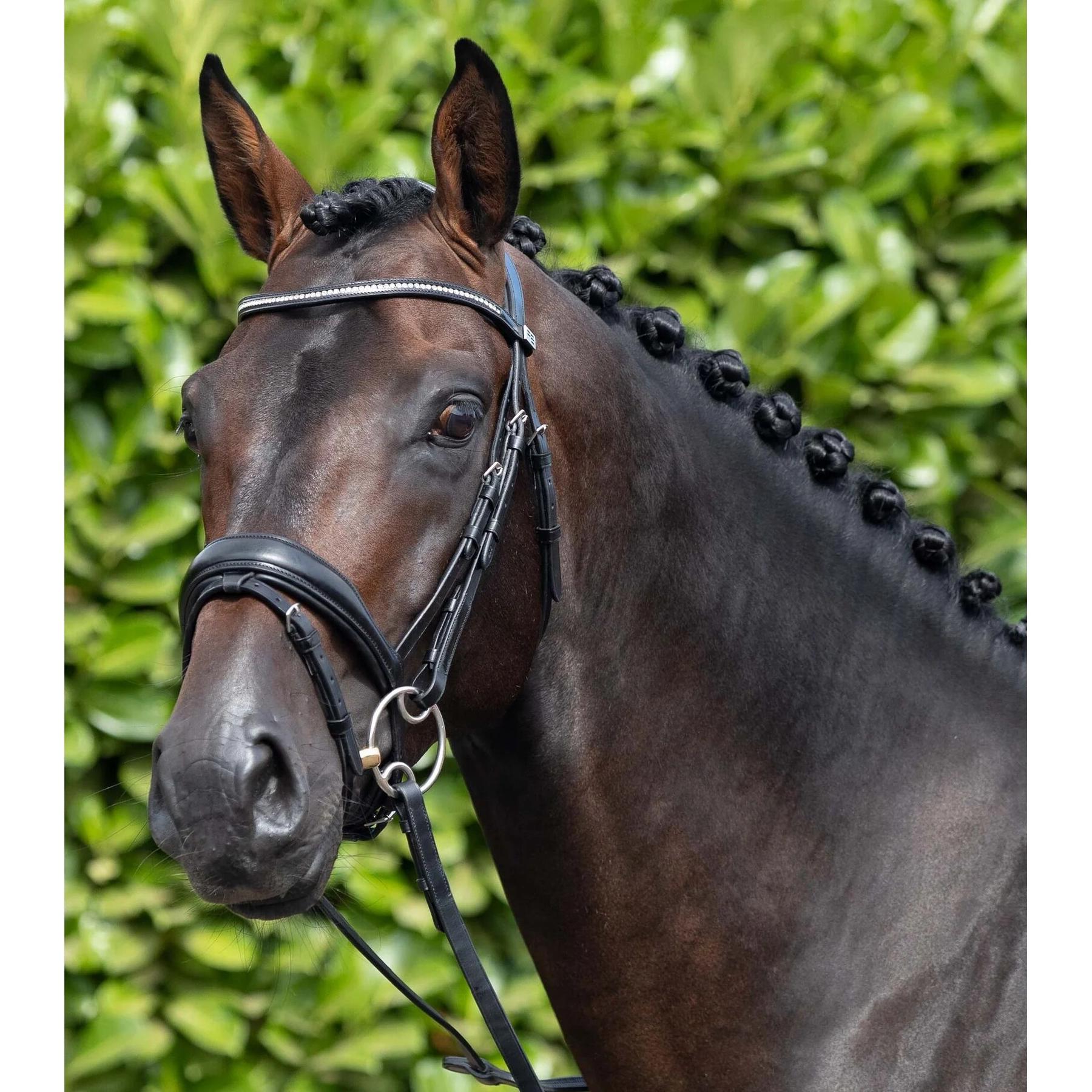 product/p/r/premier-equine_8013-cblk_1.jpg