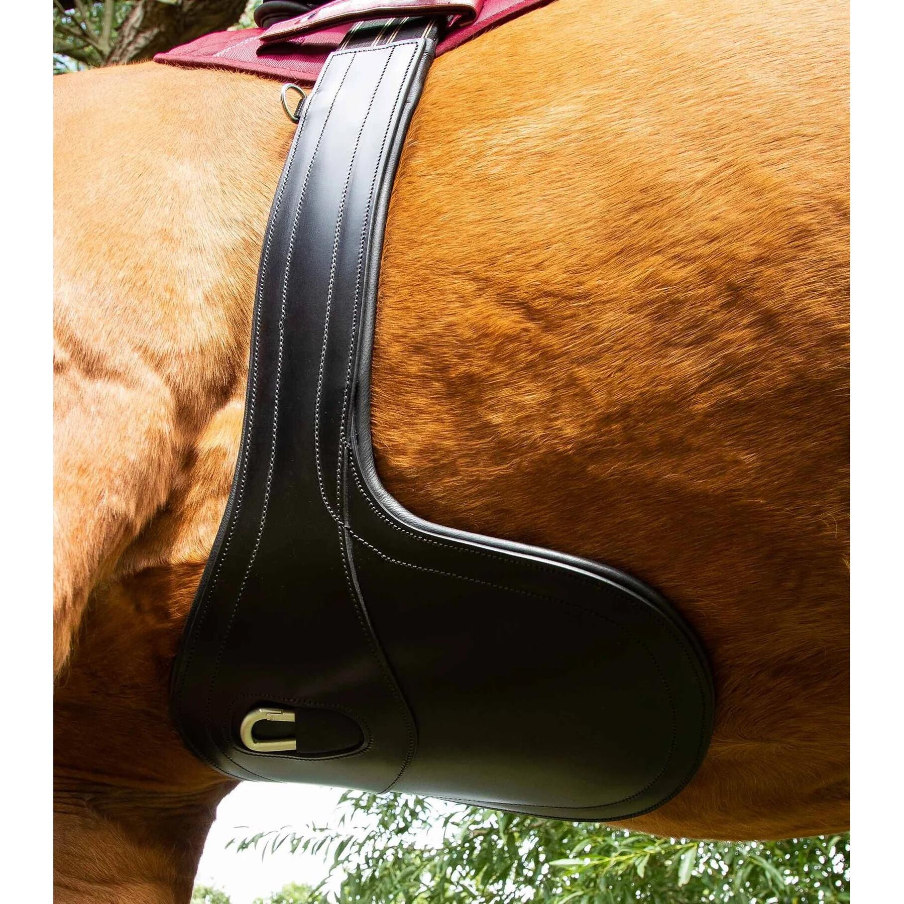 product/p/r/premier-equine_8024-46blk_2.jpg