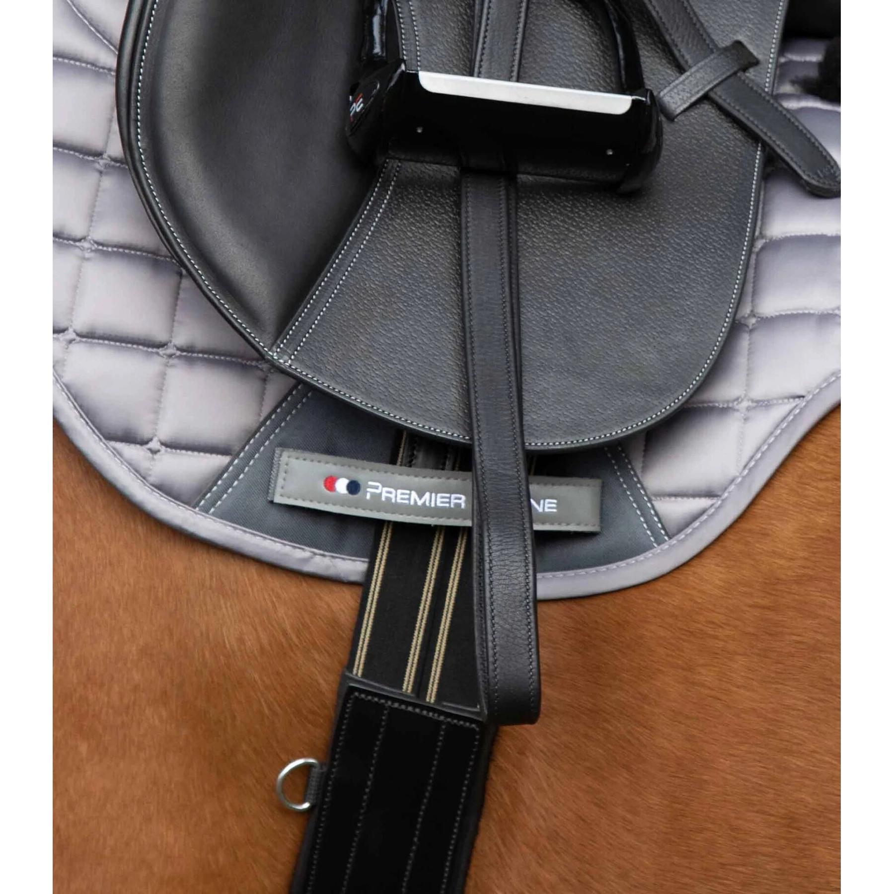 product/p/r/premier-equine_8024-46blk_3.jpg