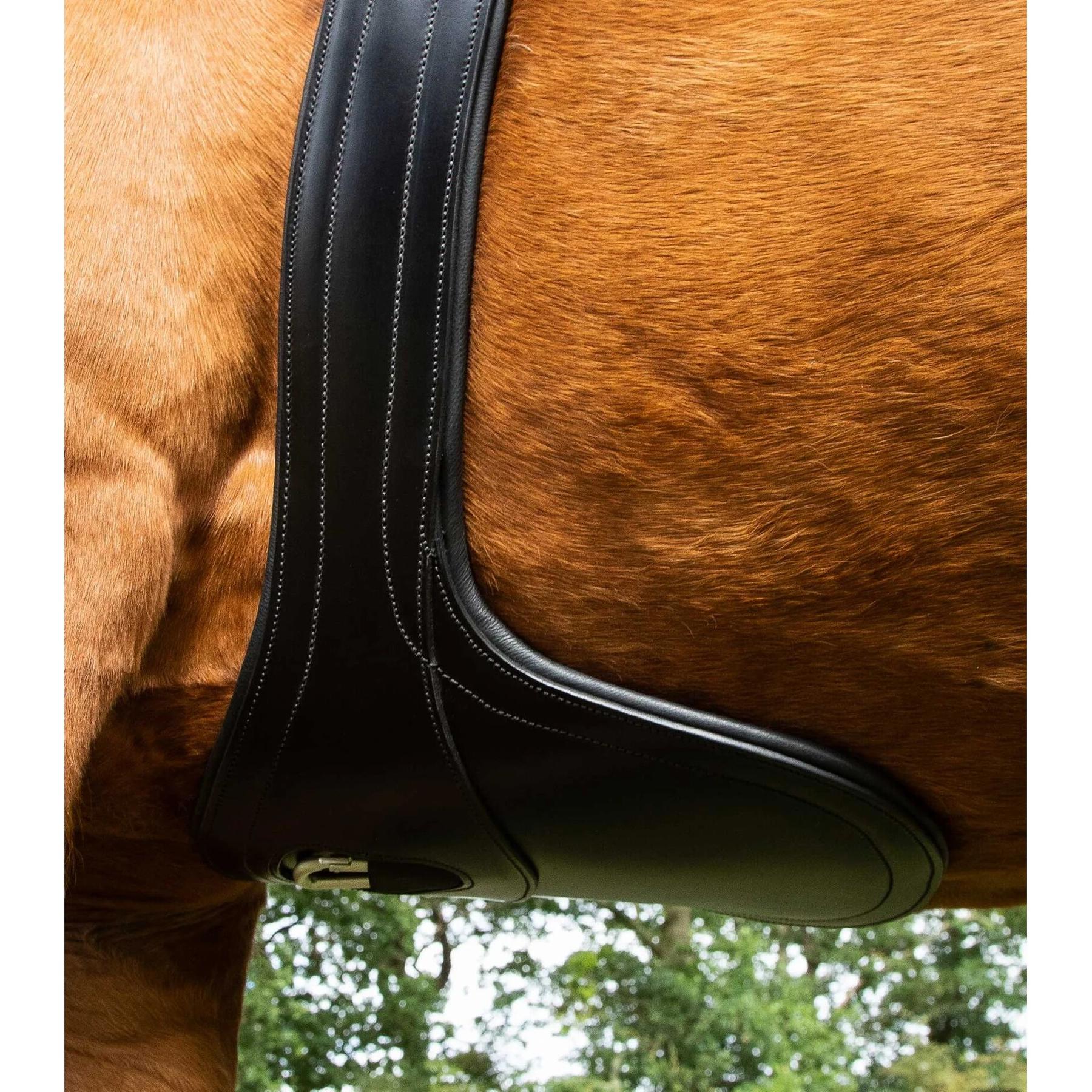 product/p/r/premier-equine_8024-46blk_4.jpg