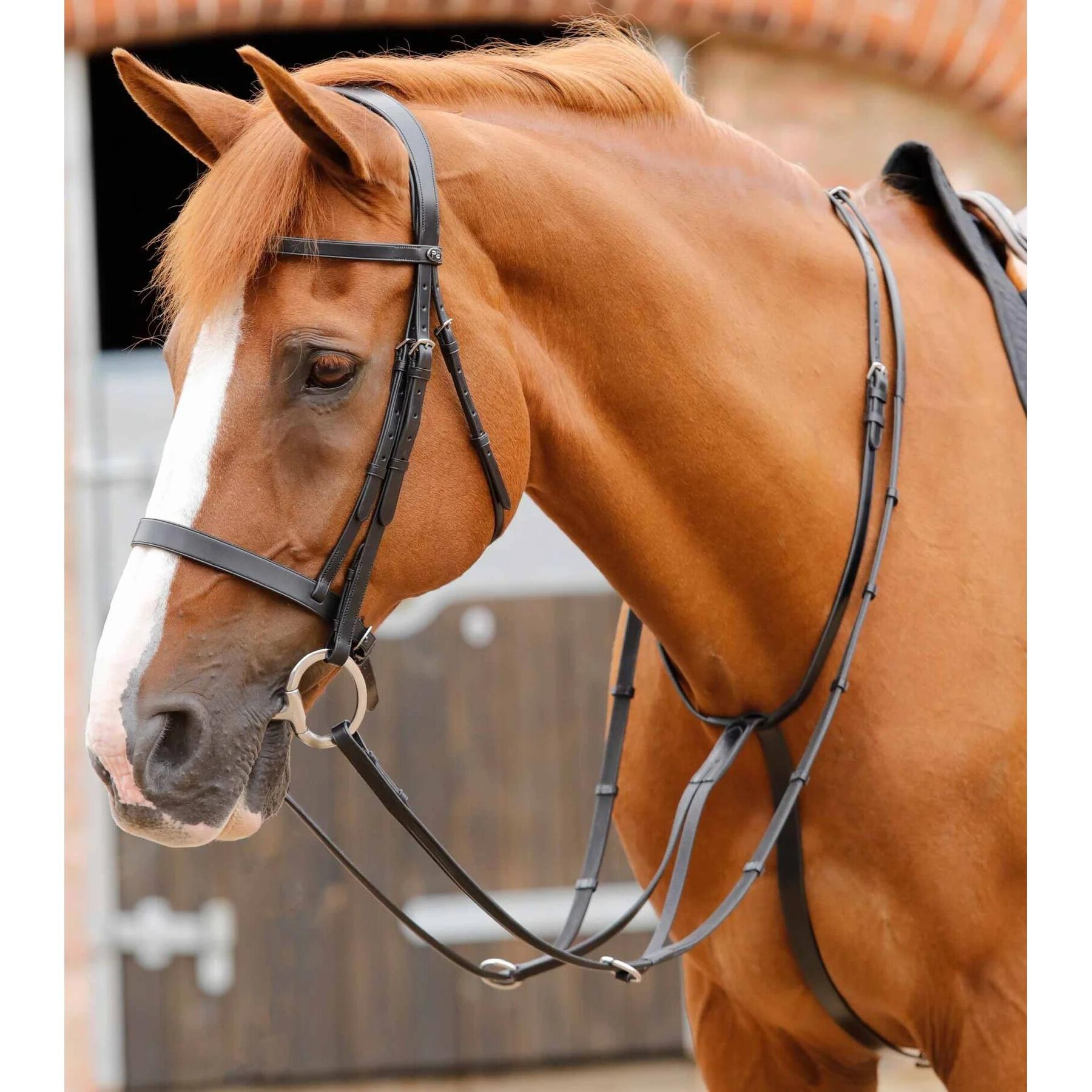 product/p/r/premier-equine_8028-cblk_1.jpg