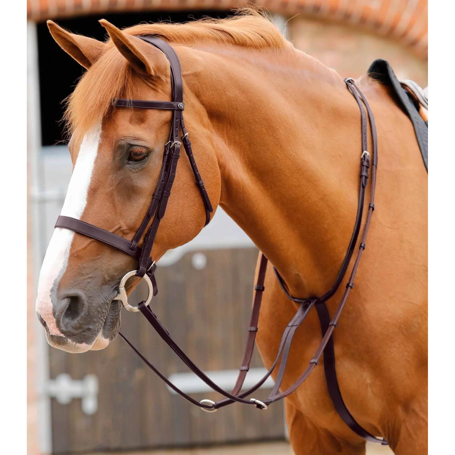 product/p/r/premier-equine_8028-cbrw_1.jpg