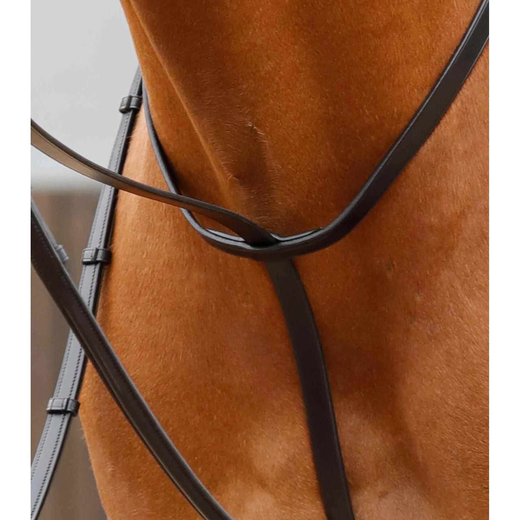 product/p/r/premier-equine_8030-cblk_1.jpg