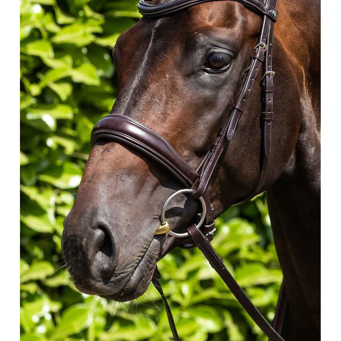 product/p/r/premier-equine_8064-45_metal_2.jpg
