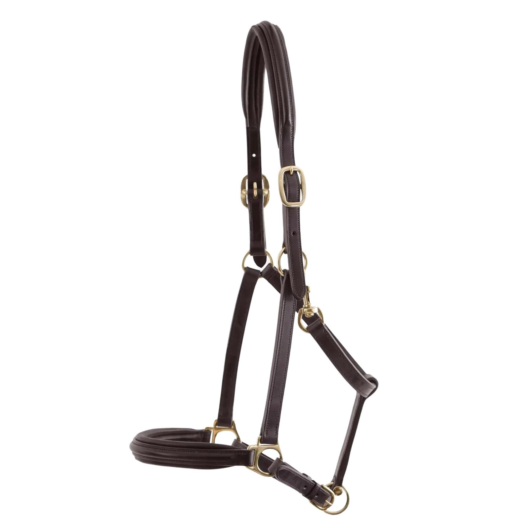 product/p/r/premier-equine_8099-cbrw_4.jpg
