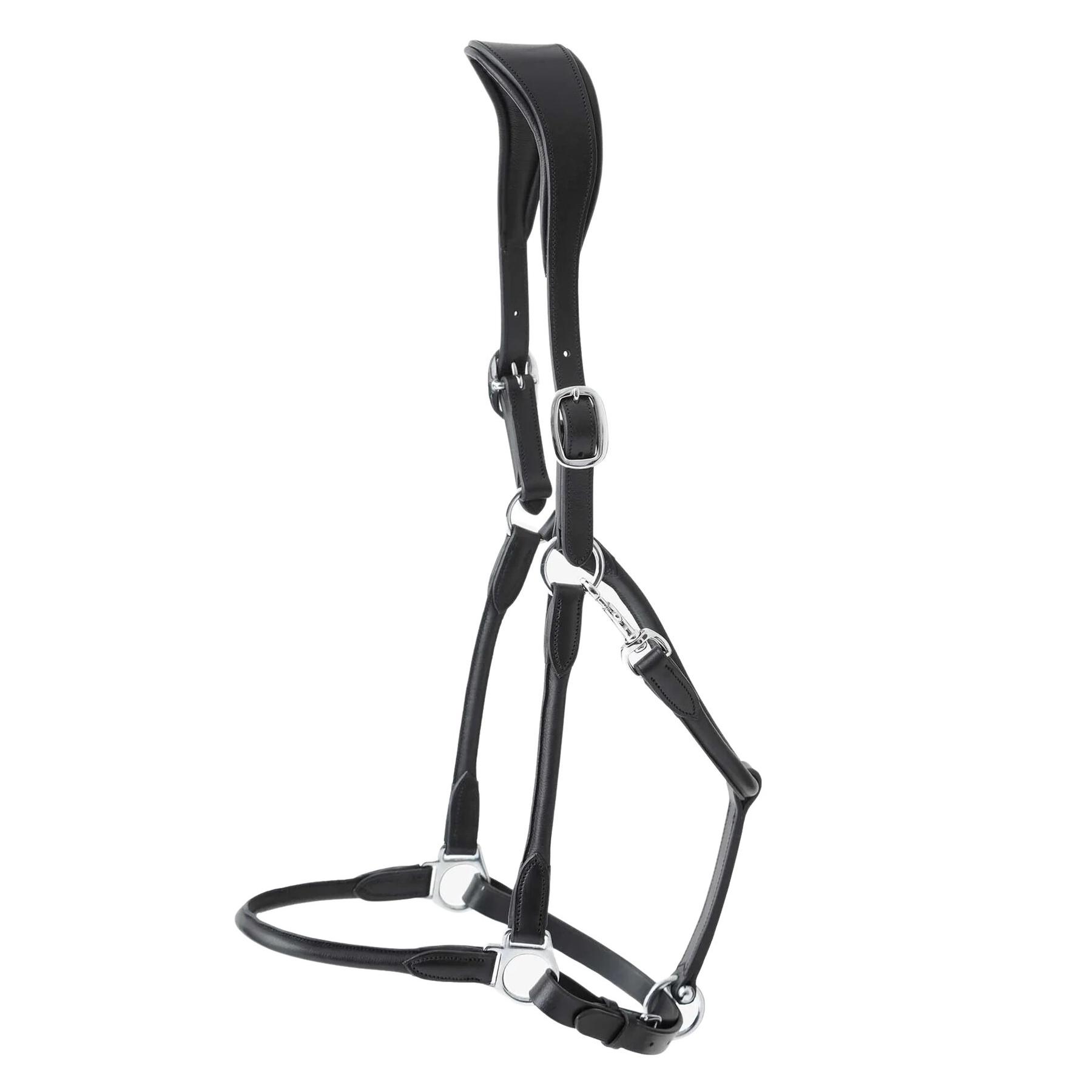 product/p/r/premier-equine_8120cblk_3.jpg