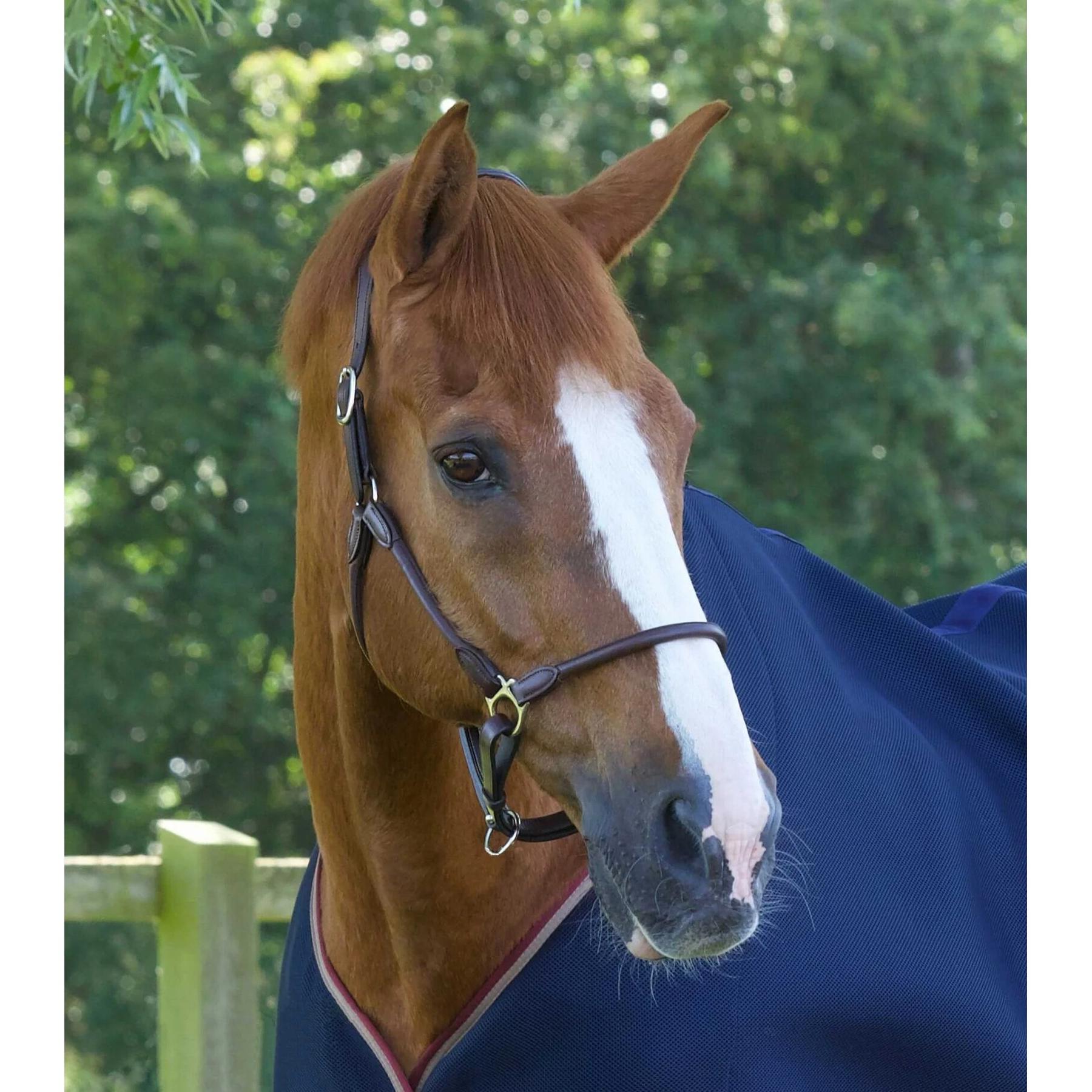 product/p/r/premier-equine_8120cbrw_1.jpg