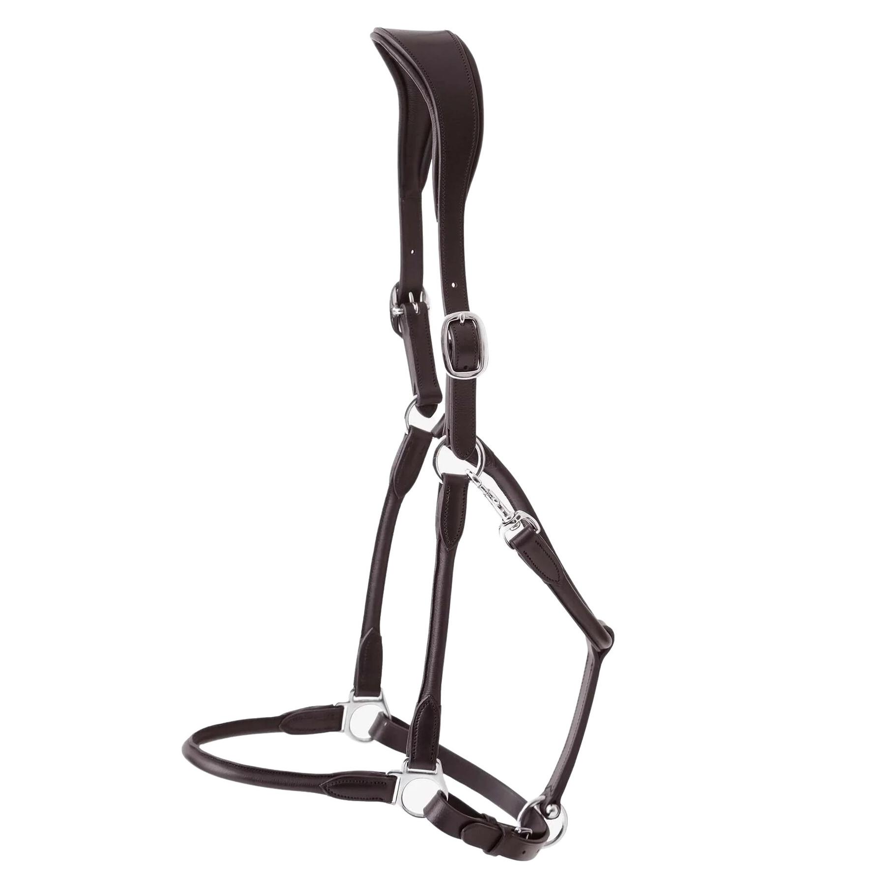 product/p/r/premier-equine_8120cbrw_2.jpg