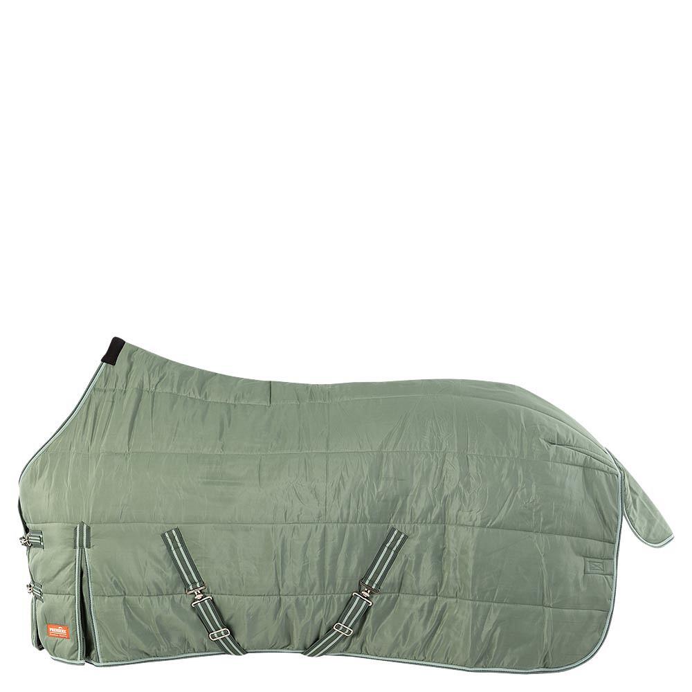 product/p/r/premiere_380313-g075-145_duckgreen_1.jpg