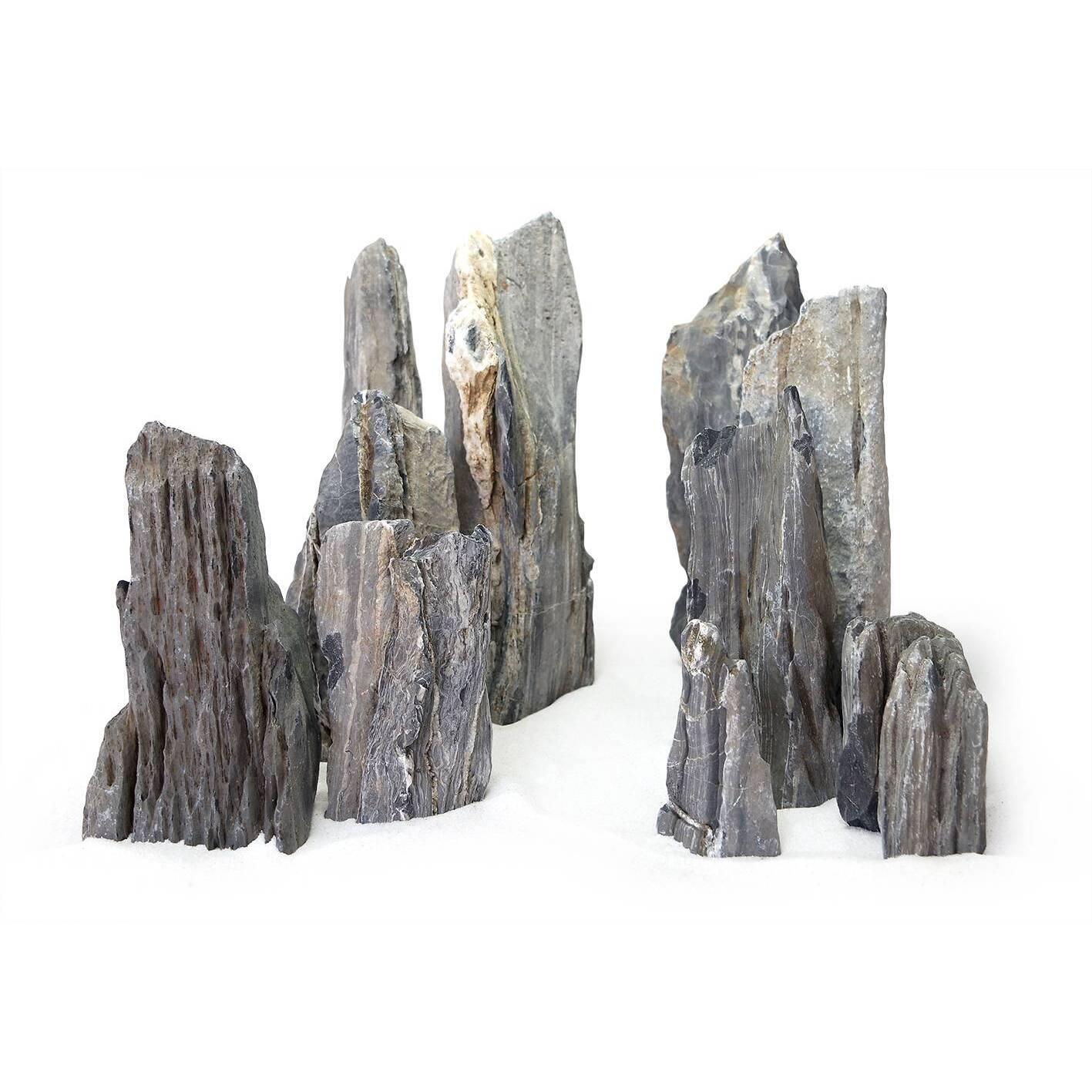 product/r/e/reptiles-planet_rp120502m_gris_1.jpg