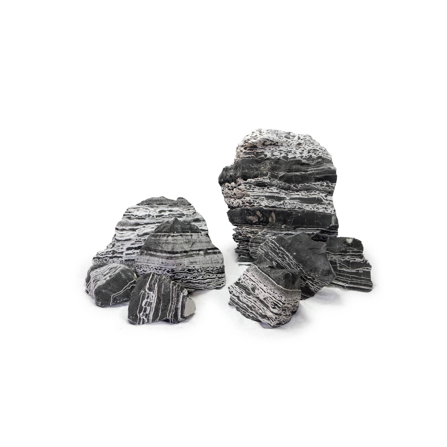 product/r/e/reptiles-planet_rp120504s_gris_1.jpg