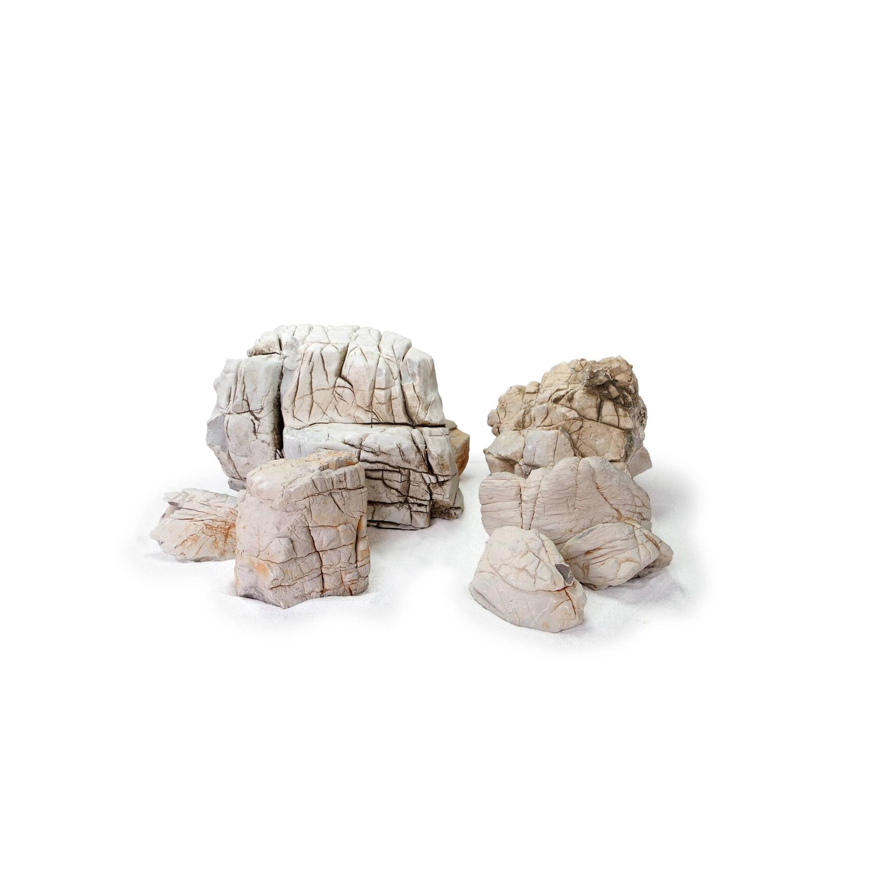 product/r/e/reptiles-planet_rp120510m_gris_1.jpg