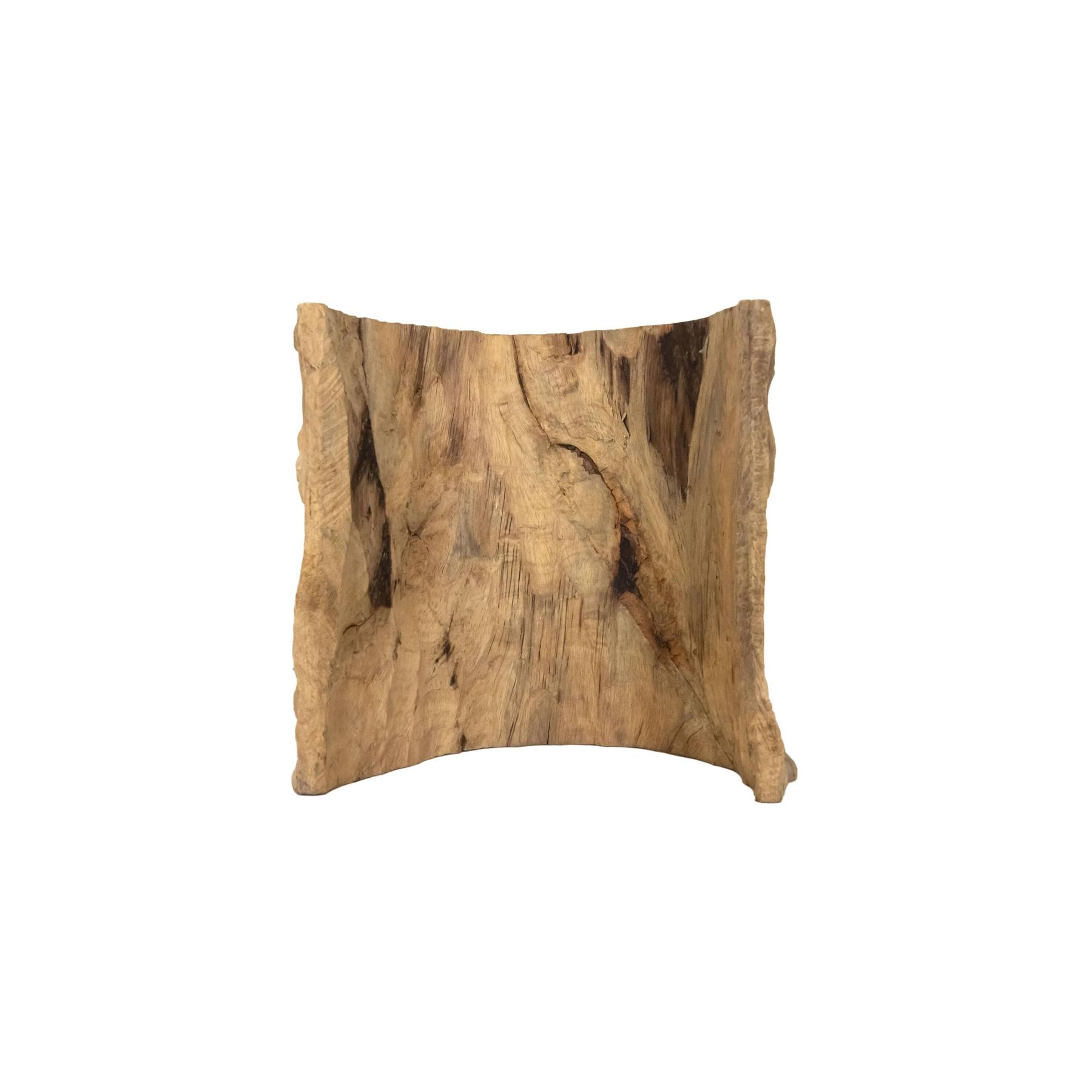 product/r/e/reptiles-planet_rp440050_beige_2.jpg