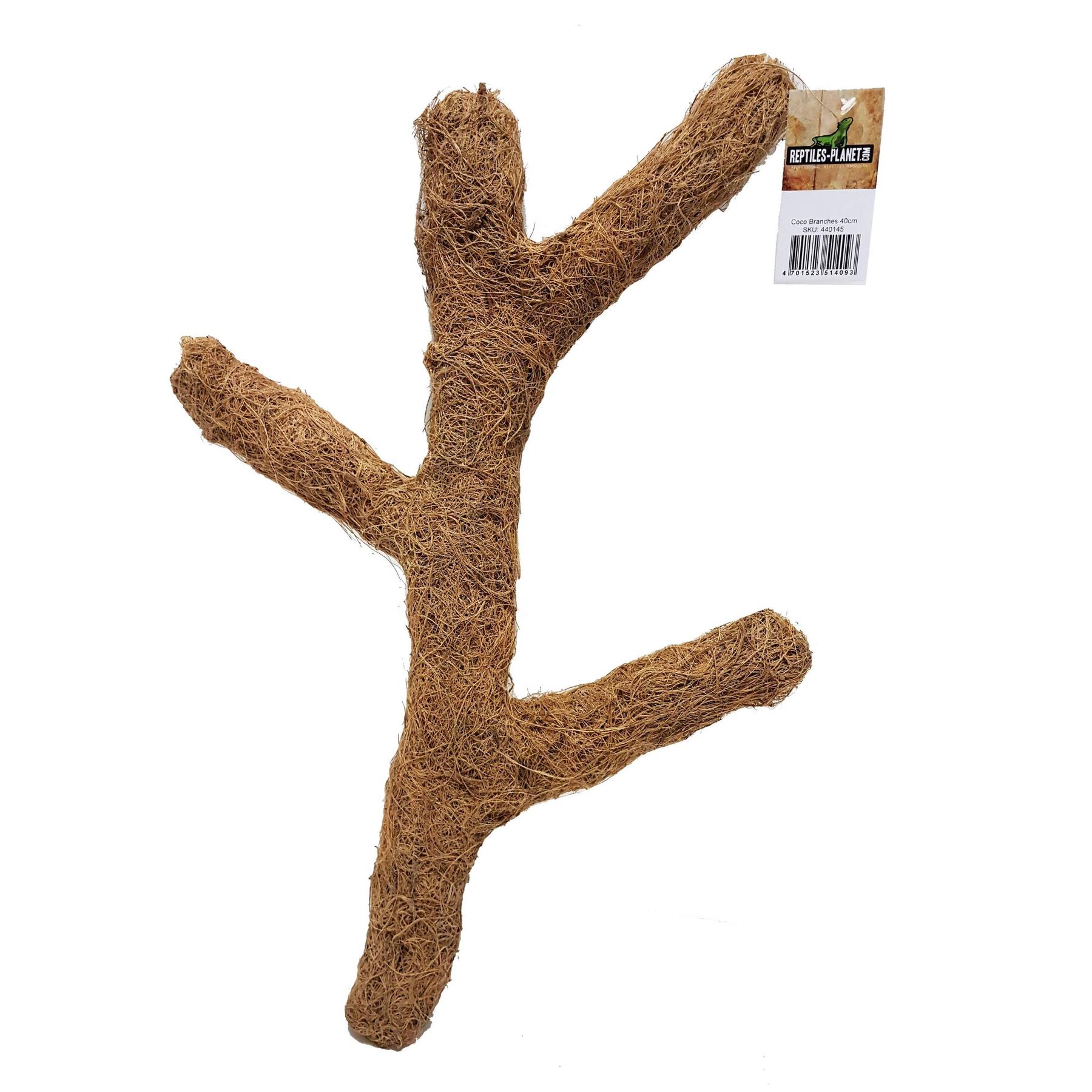 product/r/e/reptiles-planet_rp440145_marron_1.jpg