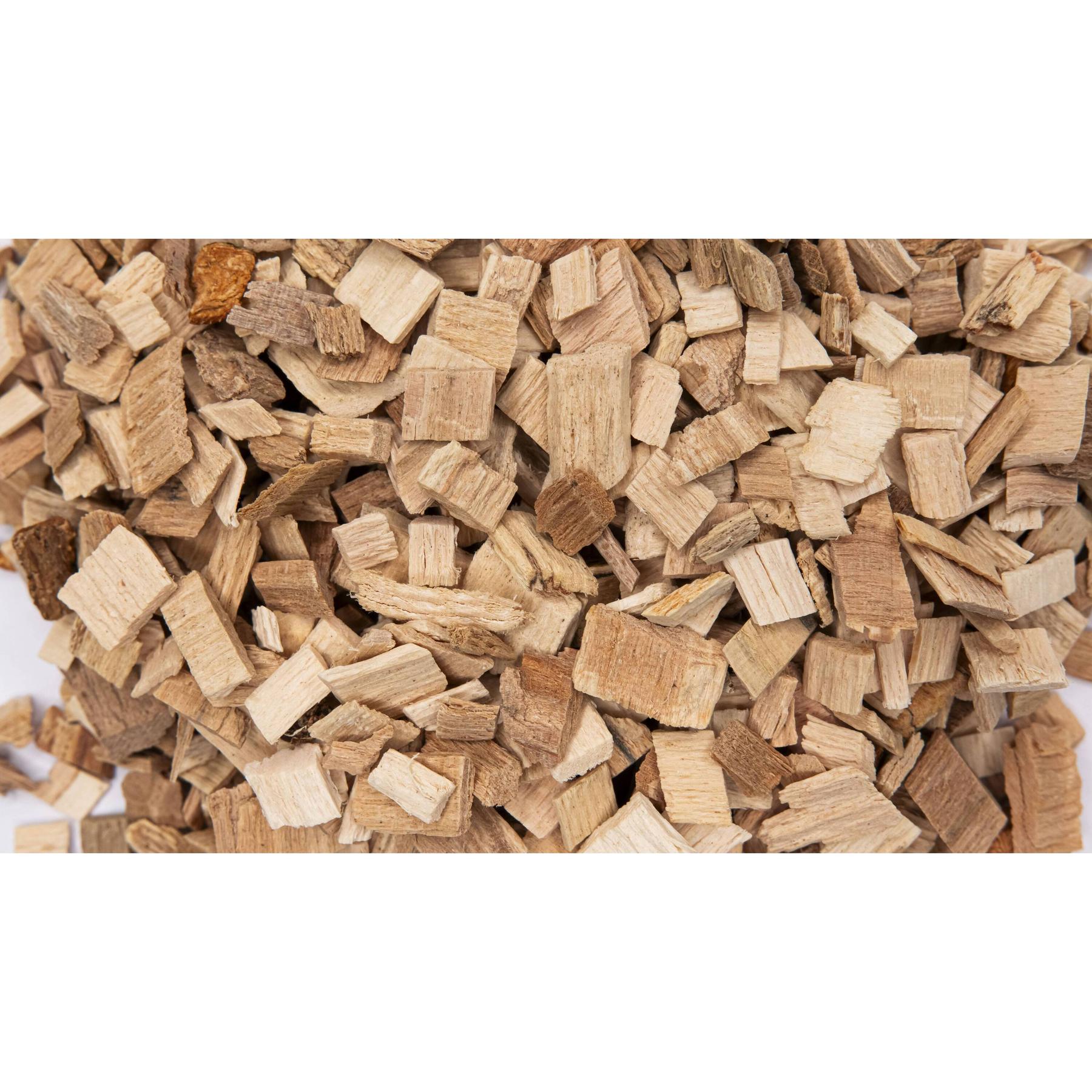 product/r/e/reptiles-planet_rp550015_marron_3.jpg