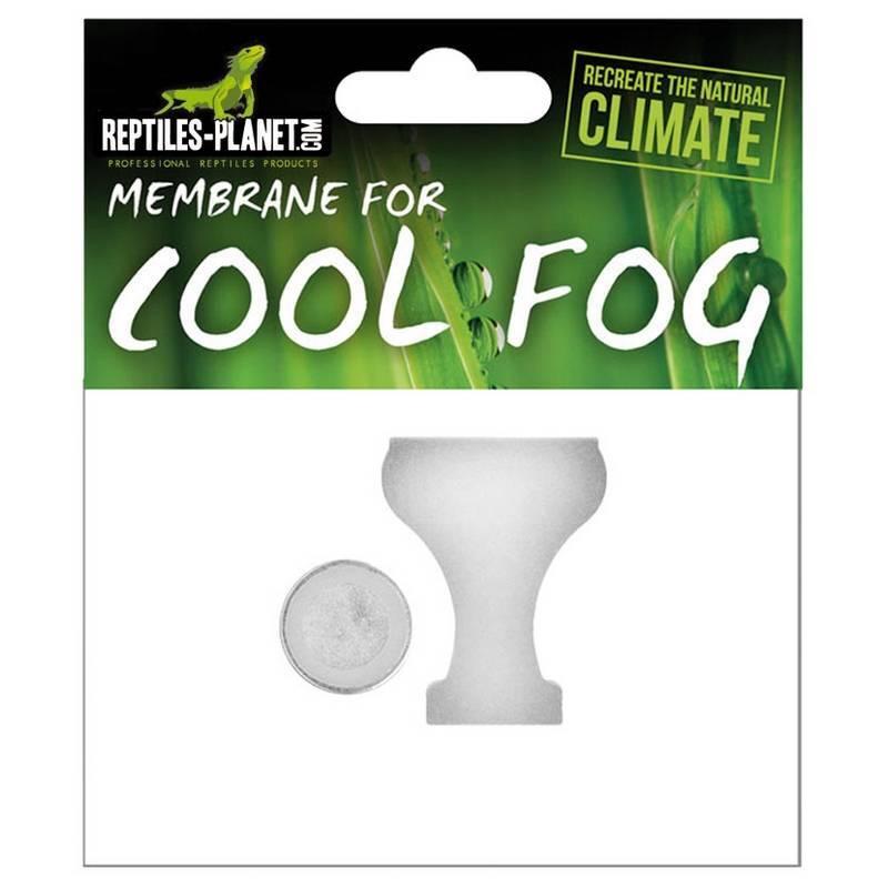 product/r/e/reptiles-planet_rp871024_blanc_1.jpg