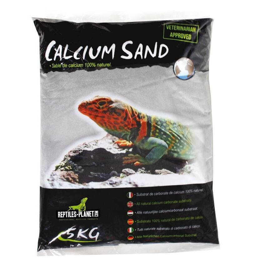 product/r/e/reptiles-planet_rp875830_black_1.jpg