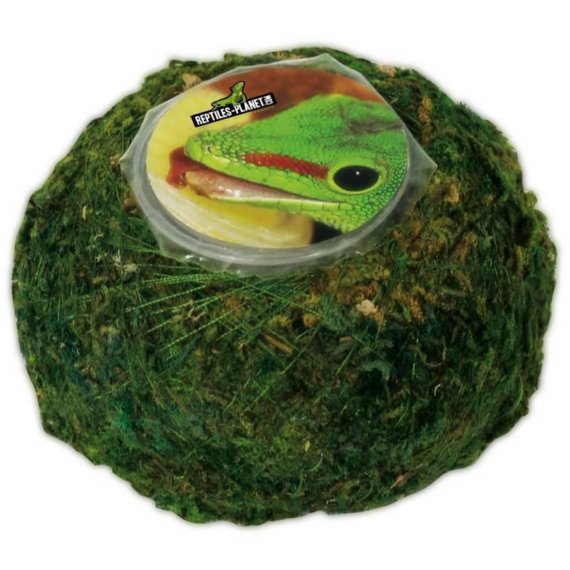 product/r/e/reptiles-planet_rp875932_vert_1.jpg