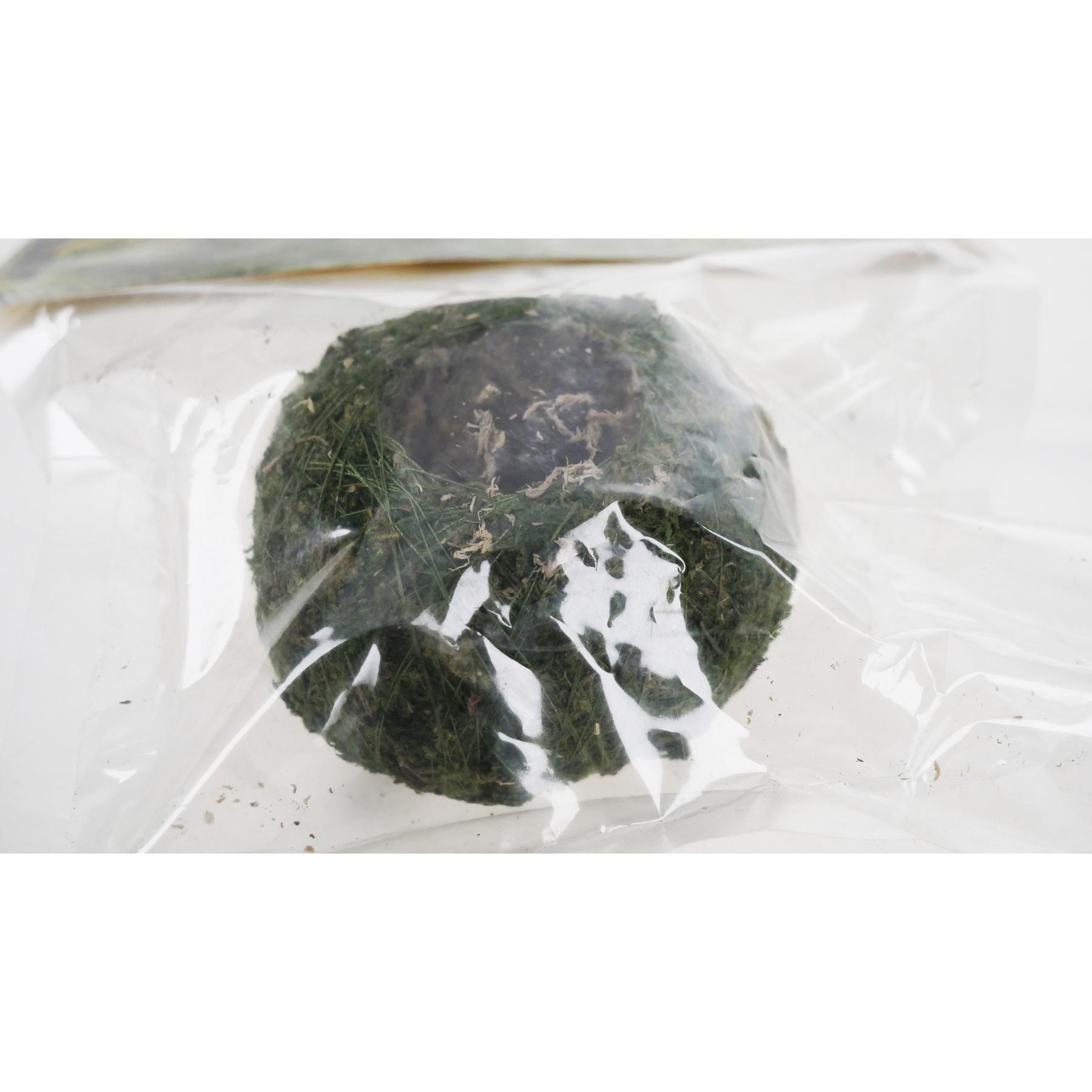 product/r/e/reptiles-planet_rp875932_vert_3.jpg