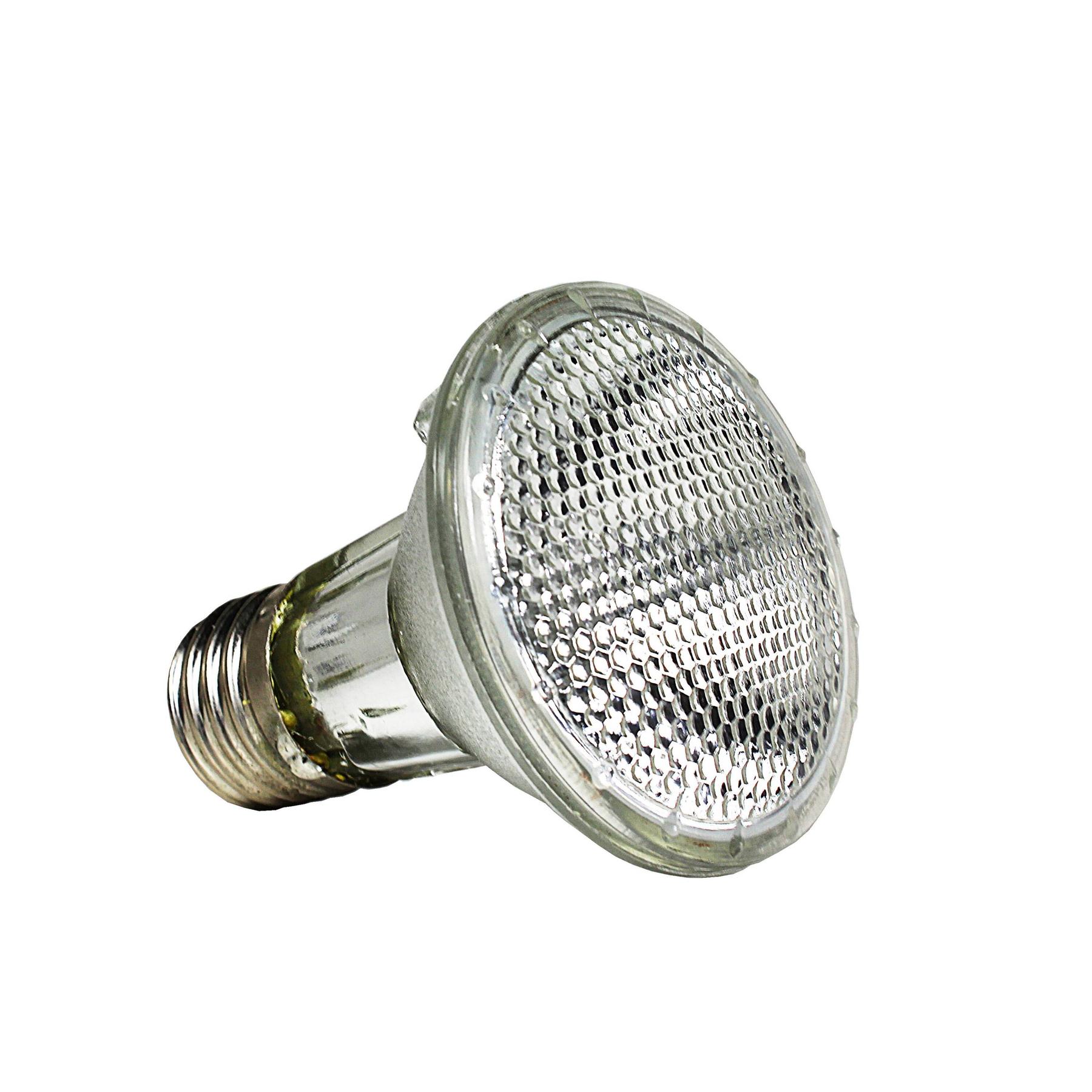 product/r/e/reptiles-planet_rp875952_blanc_5.jpg
