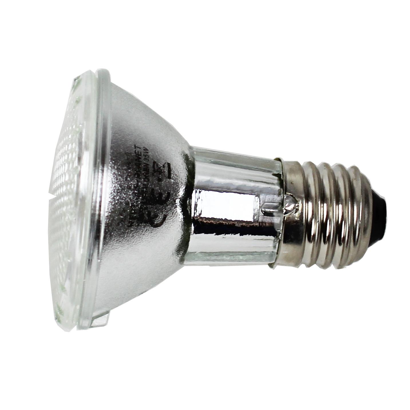 product/r/e/reptiles-planet_rp875952_blanc_7.jpg