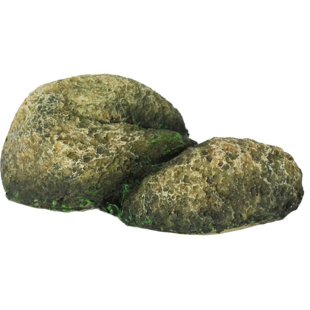 product/r/e/reptiles-planet_rp876174_vert_1.jpg